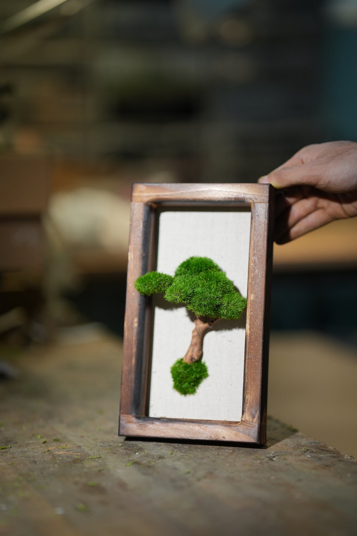 A Small Tree in the East - Wall Hanging edition (Preserved Plants)