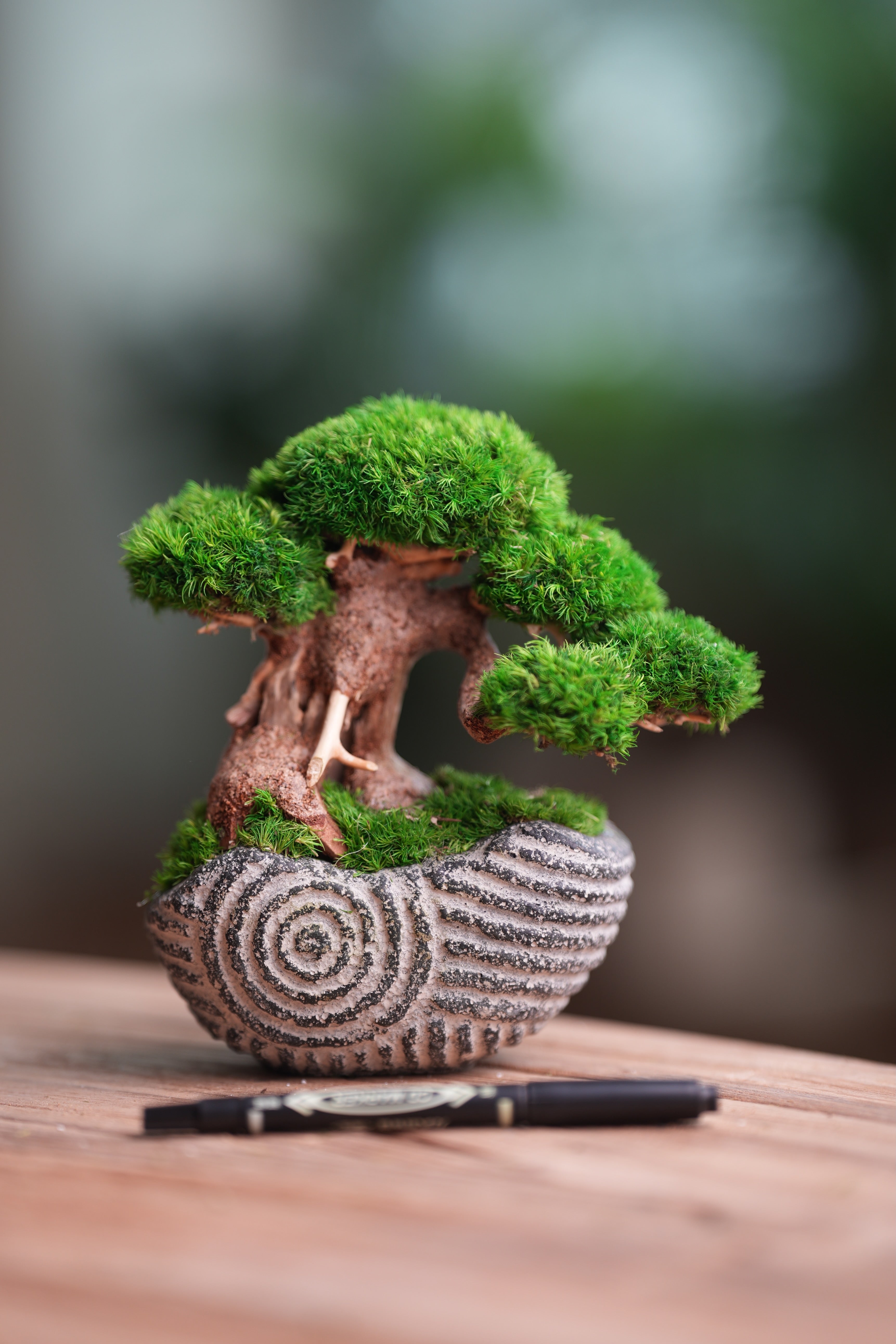 Slow Wood - Young - Anchor Spiral edition (Preserved Plants)