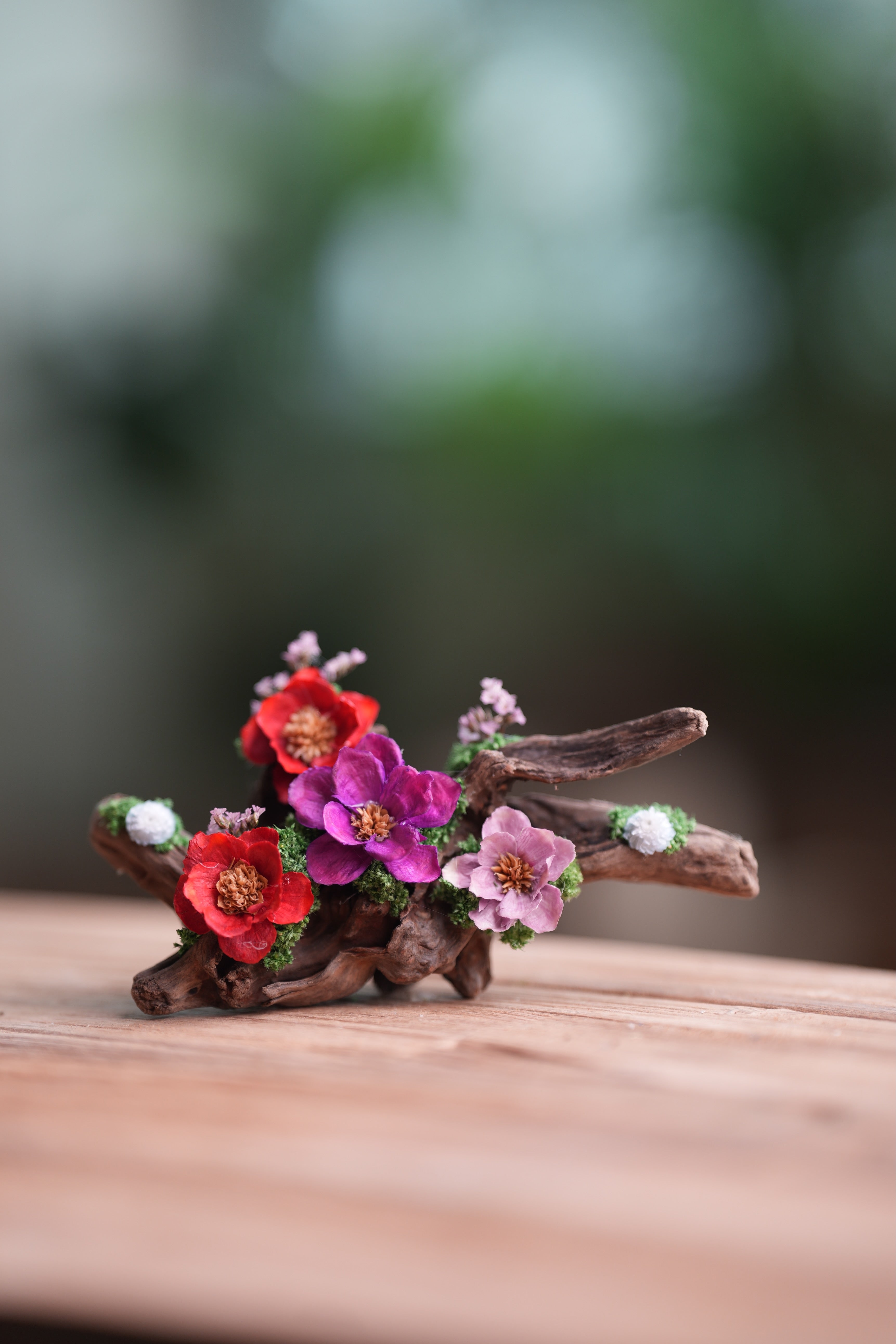 Children of the Forest - Driftwood (Preserved Plants)