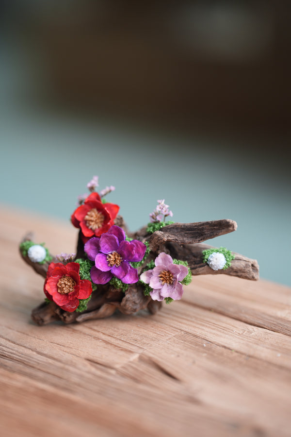 Children of the Forest - Driftwood (Preserved Plants)