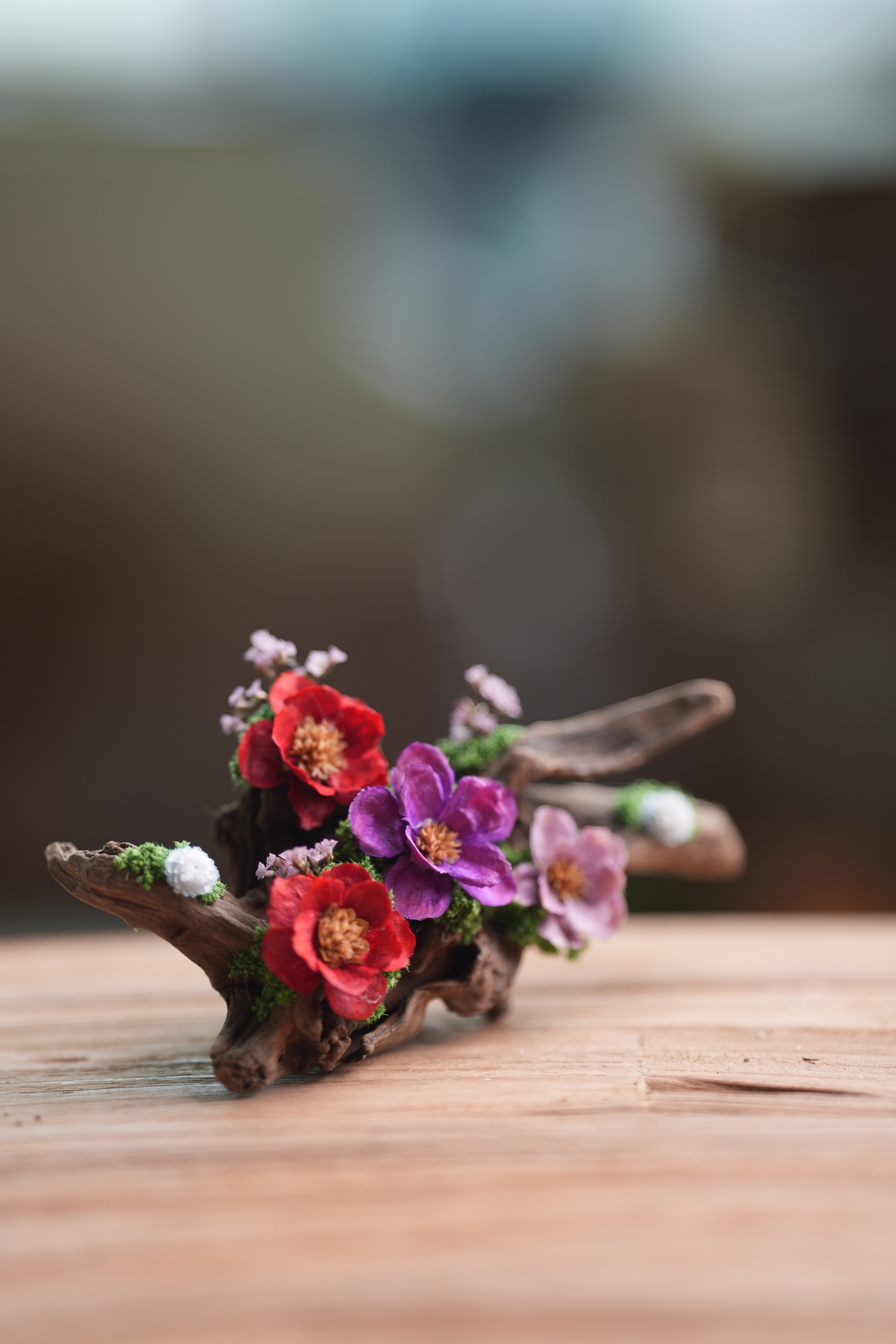 Children of the Forest - Driftwood (Preserved Plants)