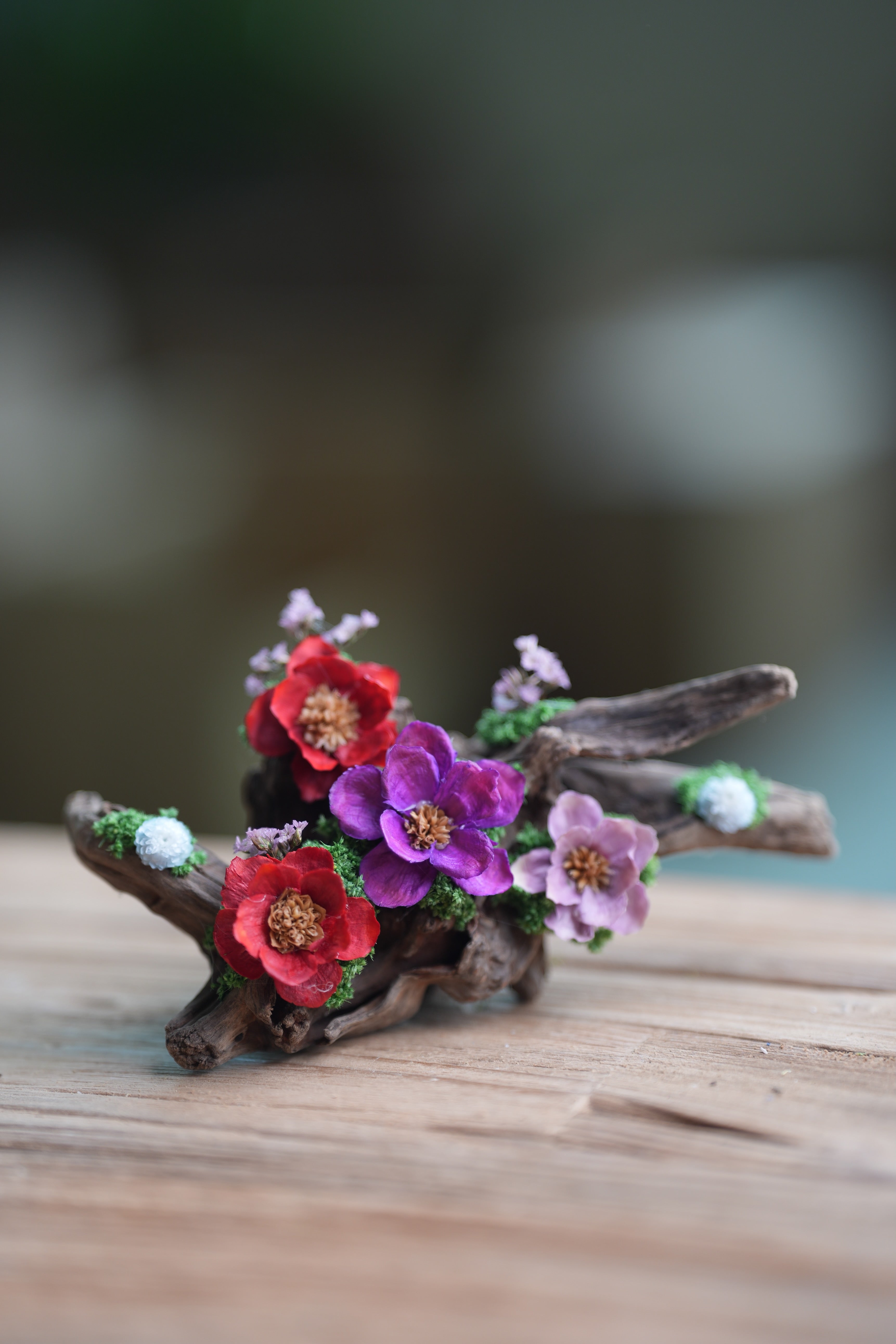 Children of the Forest - Driftwood (Preserved Plants)