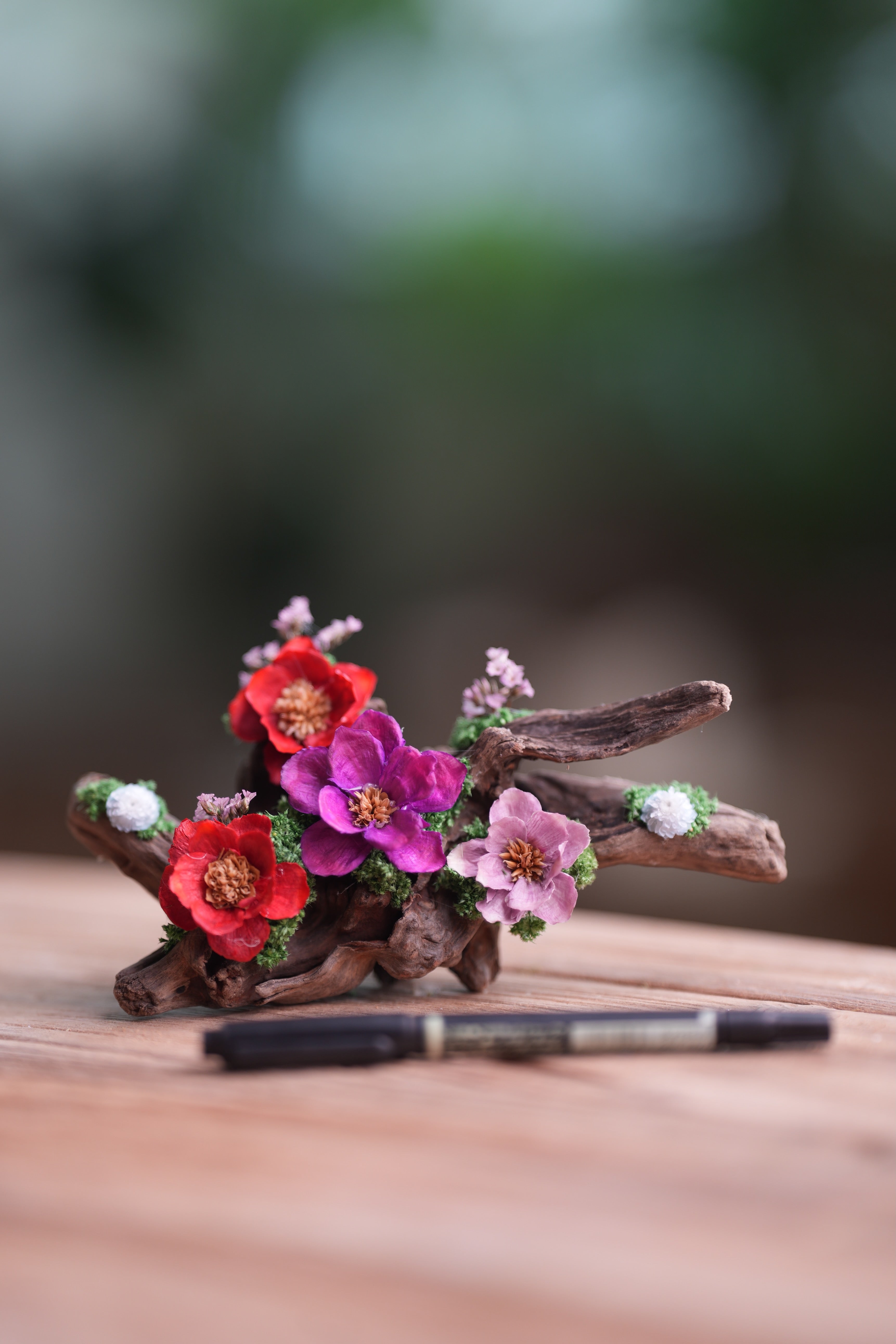 Children of the Forest - Driftwood (Preserved Plants)