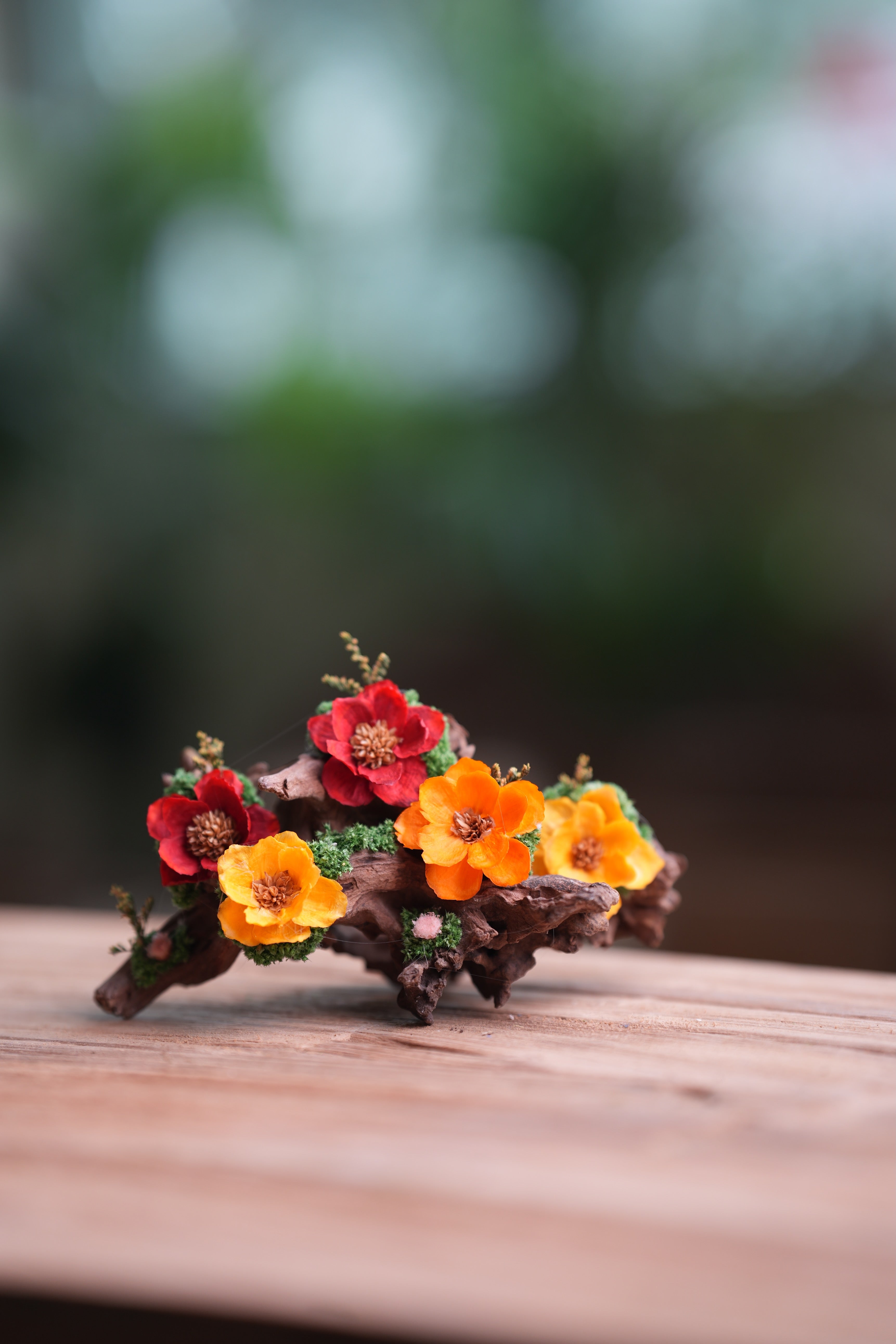 Children of the Forest - Driftwood (Preserved Plants)