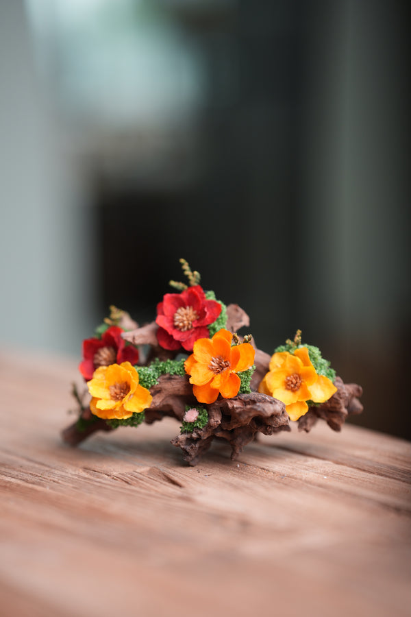 Children of the Forest - Driftwood (Preserved Plants)