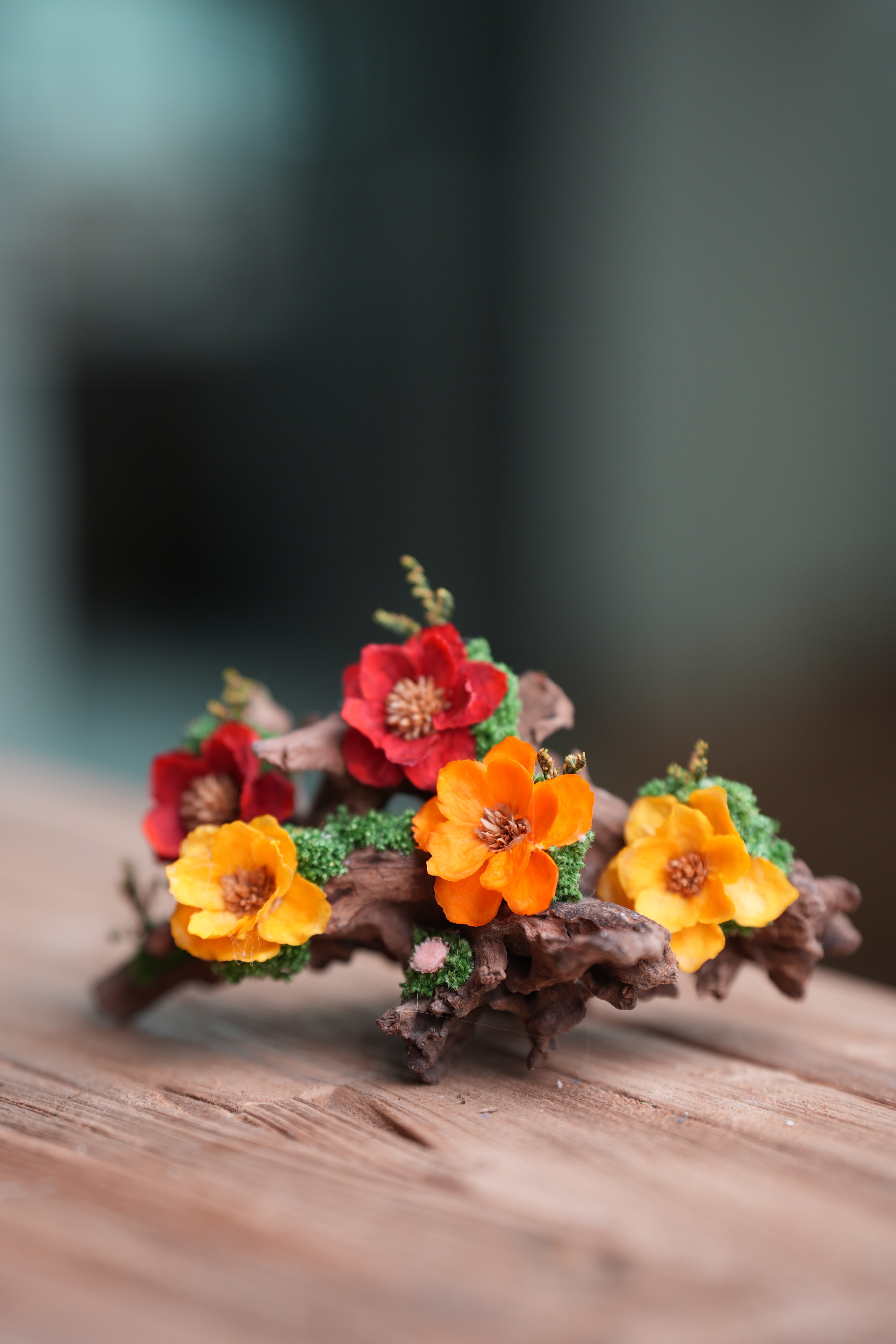 Children of the Forest - Driftwood (Preserved Plants)