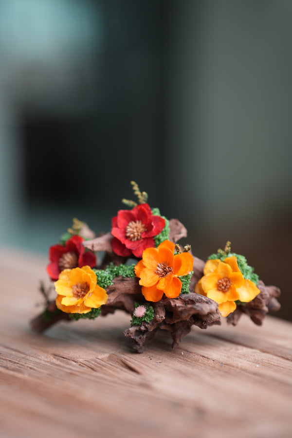 Children of the Forest - Driftwood (Preserved Plants)