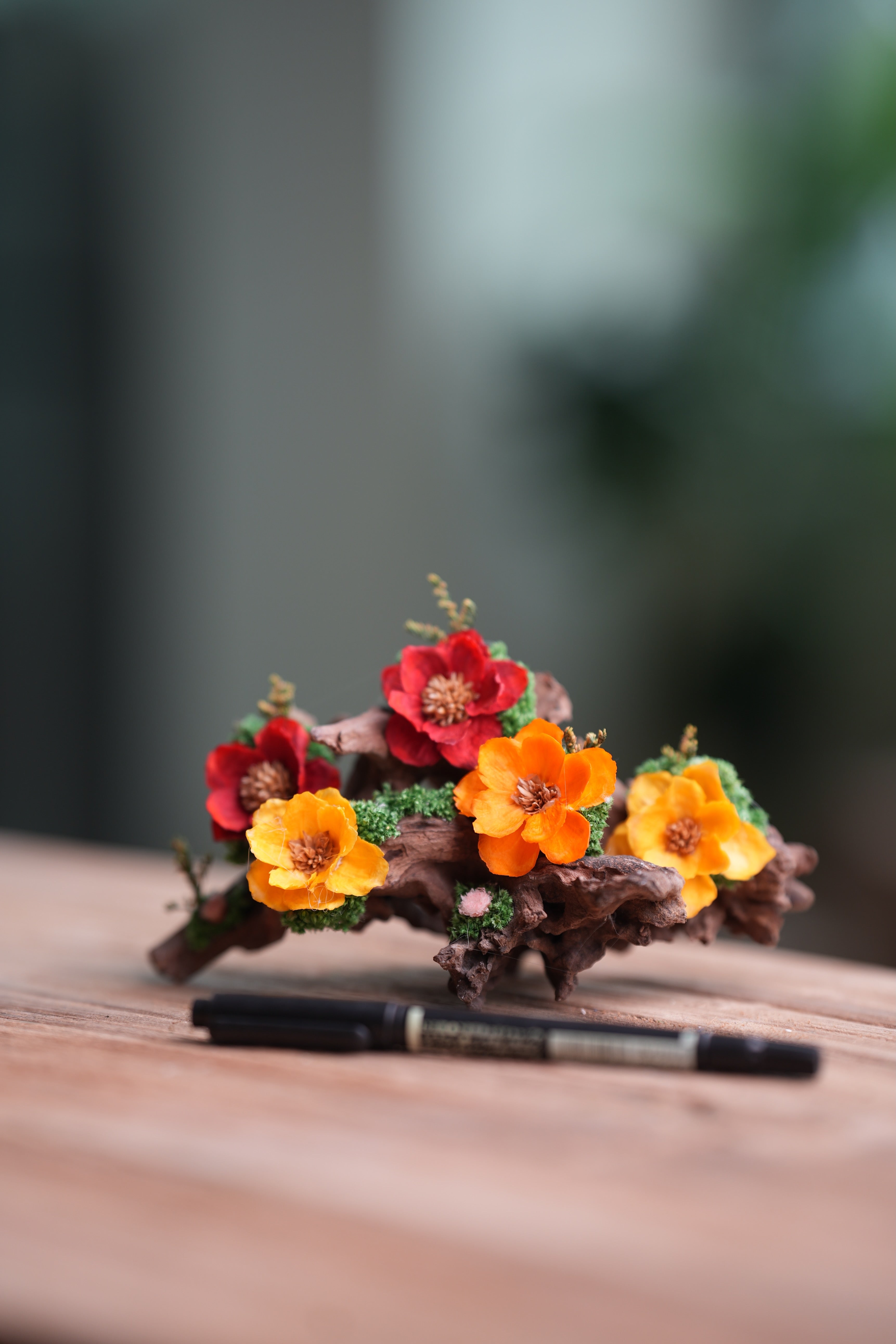 Children of the Forest - Driftwood (Preserved Plants)