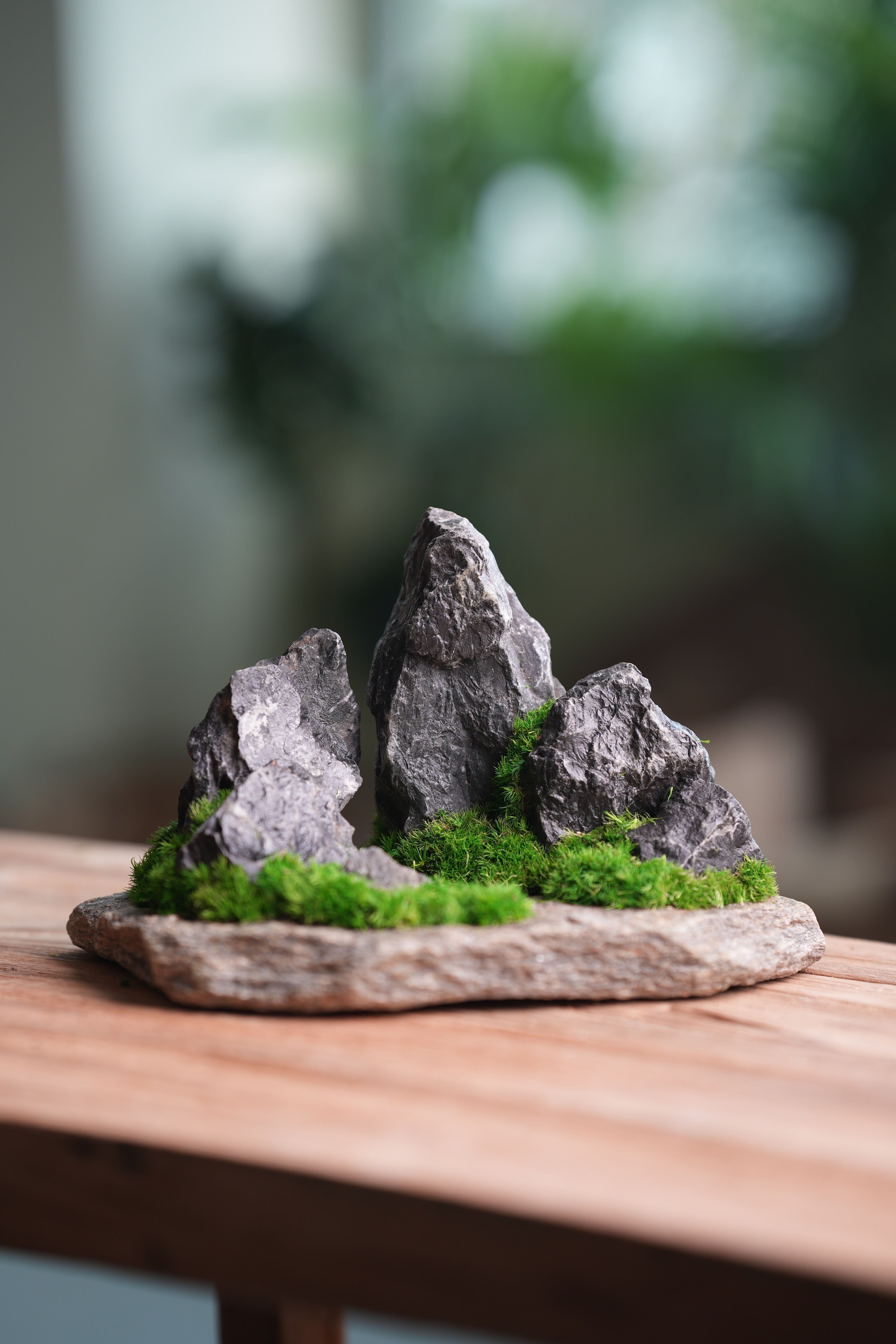 Alpine Meadow - Stormy Hill (Preserved Plants)