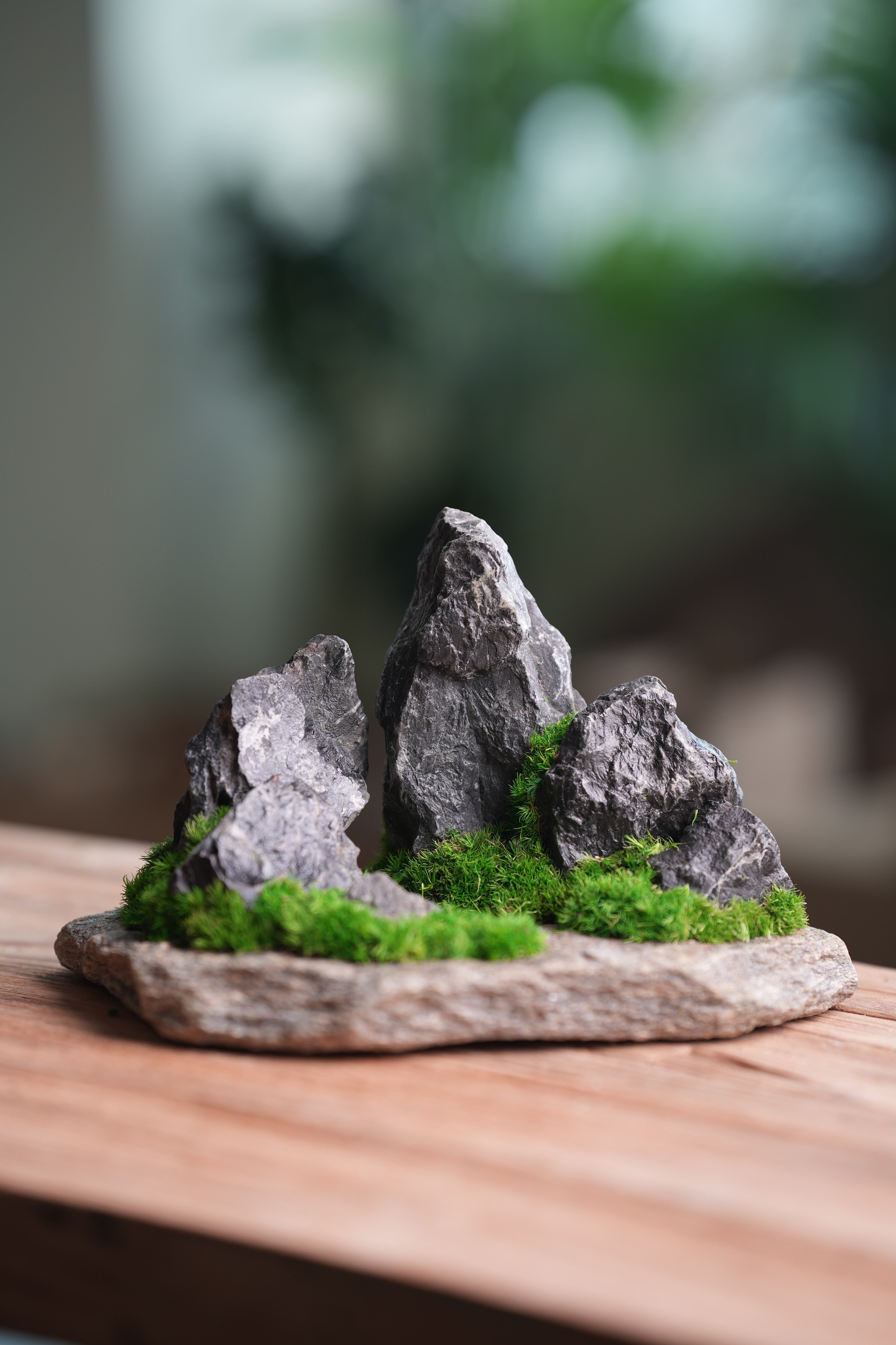 Alpine Meadow - Stormy Hill (Preserved Plants)