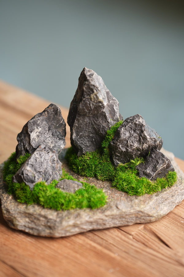 Alpine Meadow - Stormy Hill (Preserved Plants)