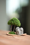 A Small Tree in the East - Classic - Trio of No Evil (Preserved Plants)