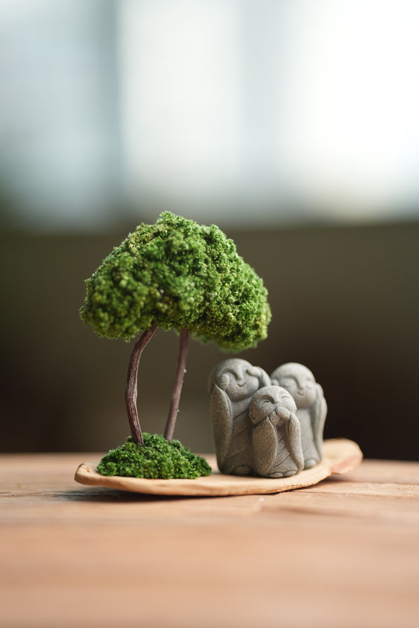 A Small Tree in the East - Classic - Trio of No Evil (Preserved Plants)