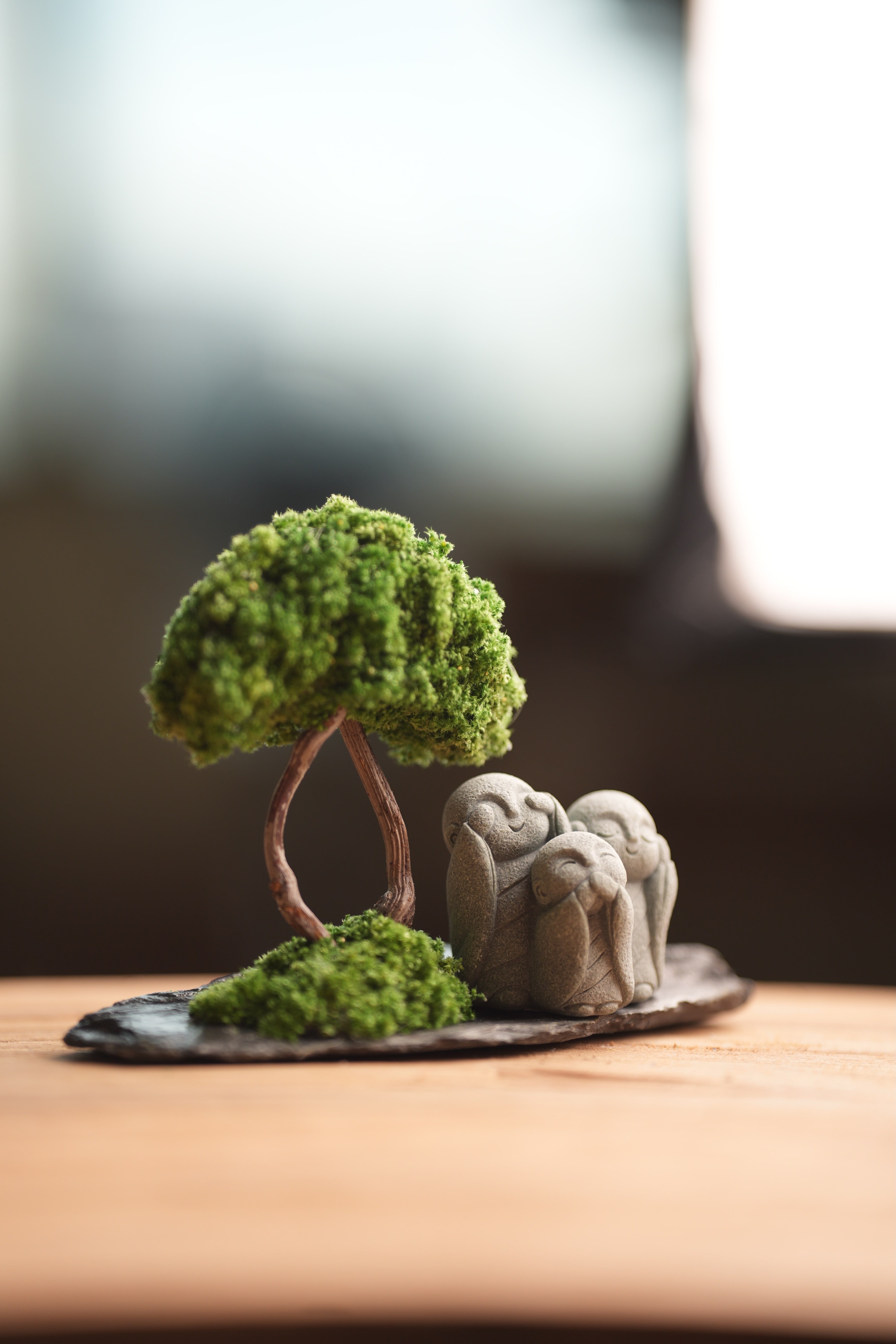 A Small Tree in the East - Classic - Trio of No Evil (Preserved Plants)