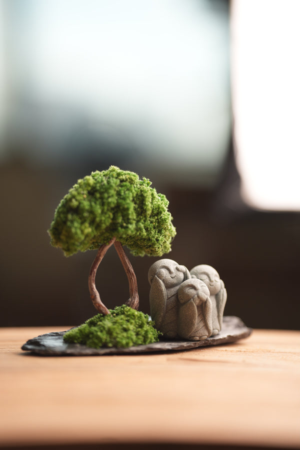 A Small Tree in the East - Classic - Trio of No Evil (Preserved Plants)