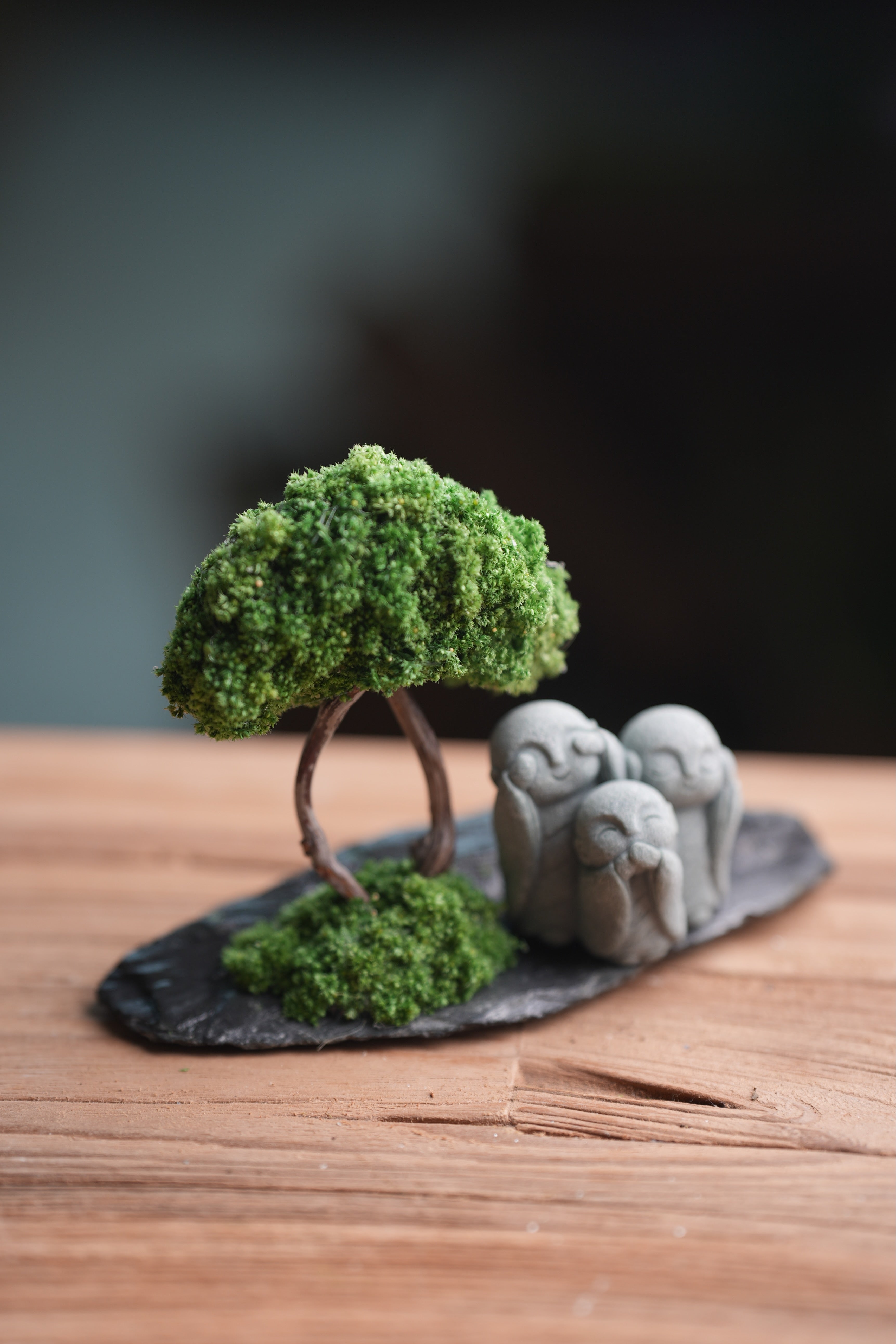 A Small Tree in the East - Classic - Trio of No Evil (Preserved Plants)