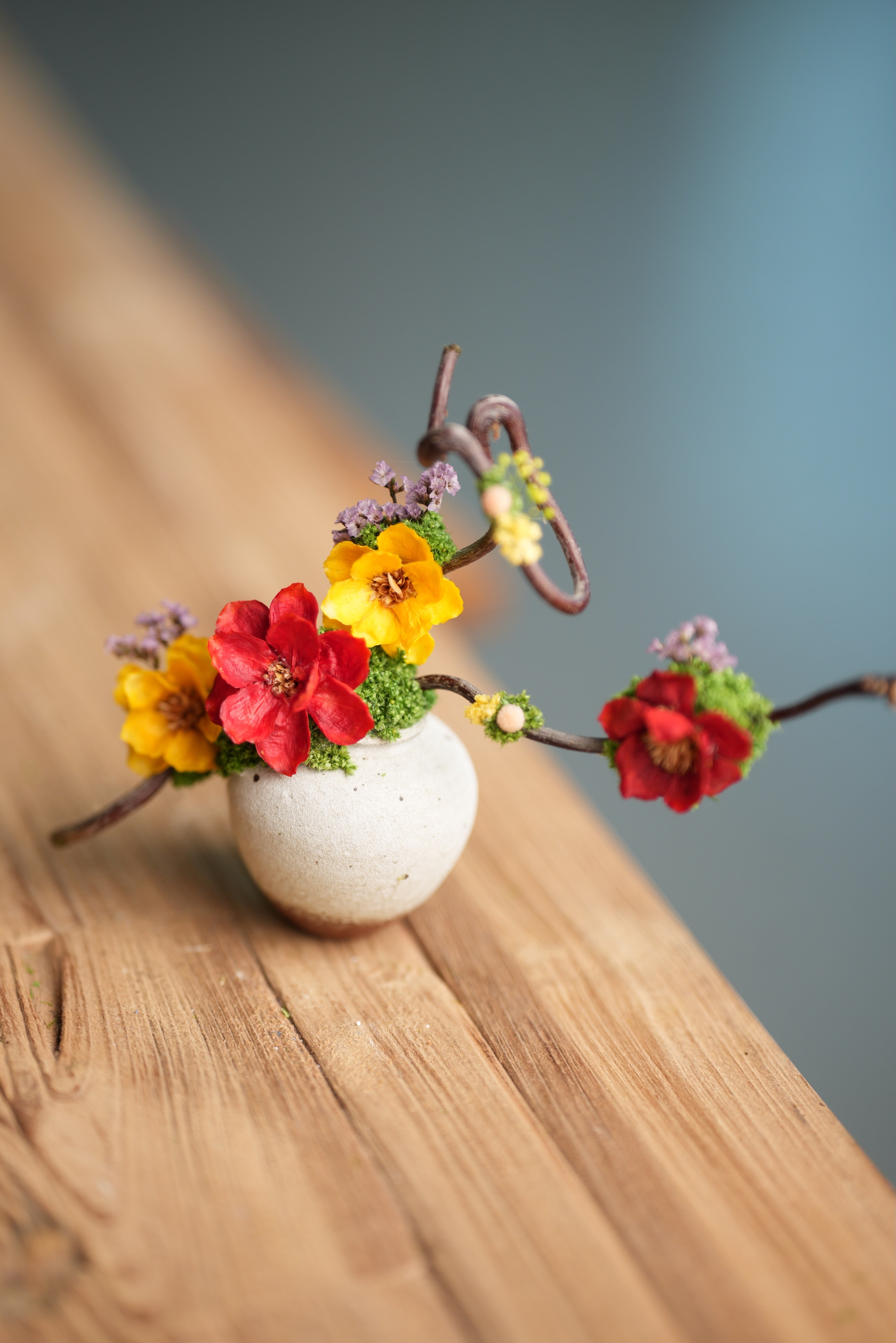 Children of the Forest - Vibrant - Smaller (Preserved Plants)