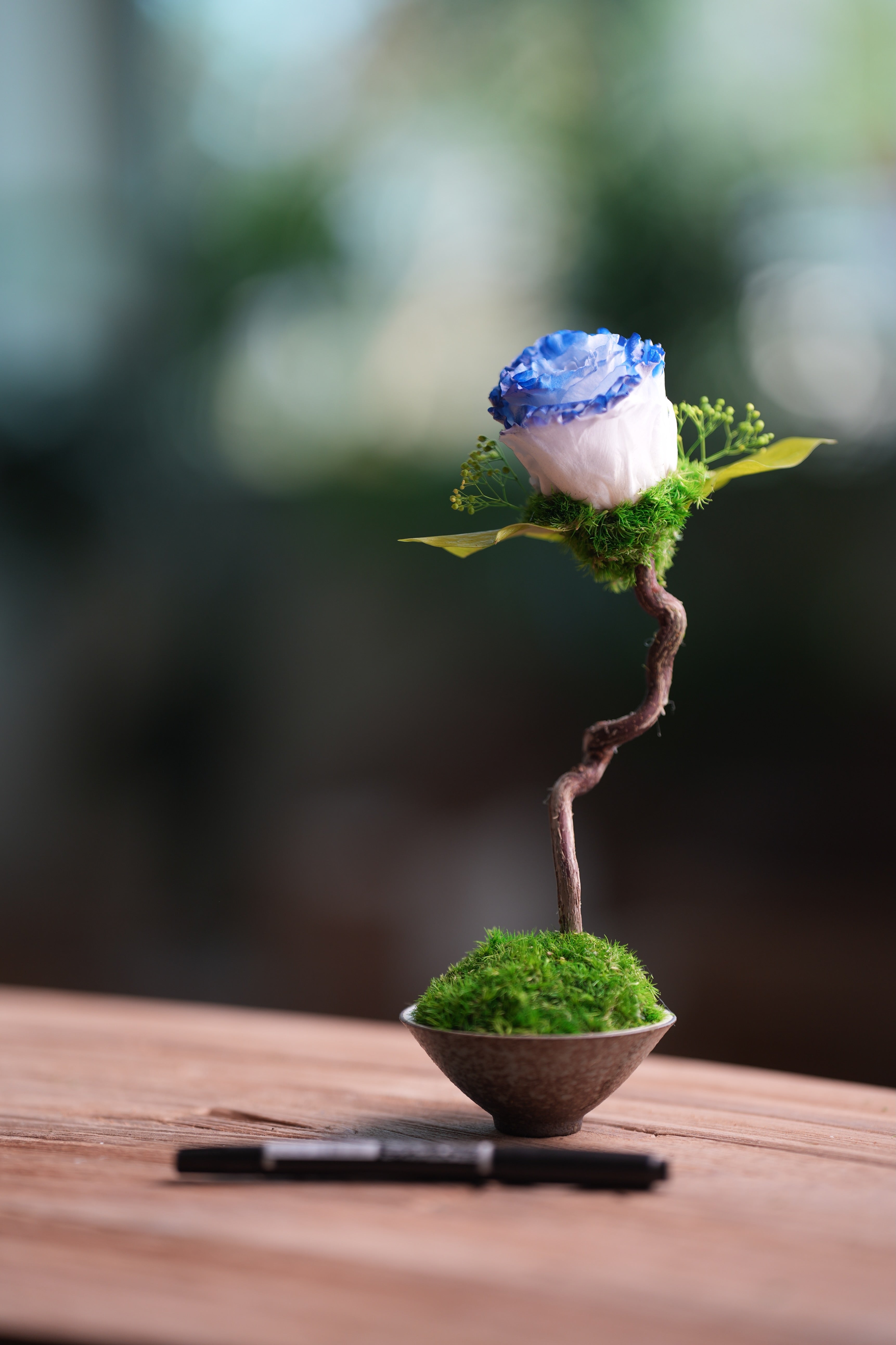 Children of the Forest - Jupiter - Blue Dream (Preserved Plants)