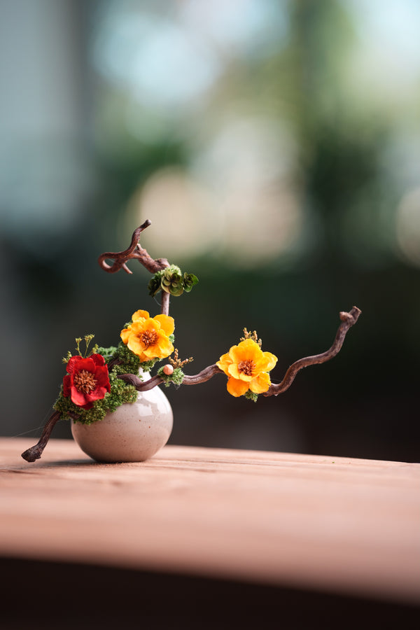 Children of the Forest - Vibrant - Smaller version (Preserved Plants)