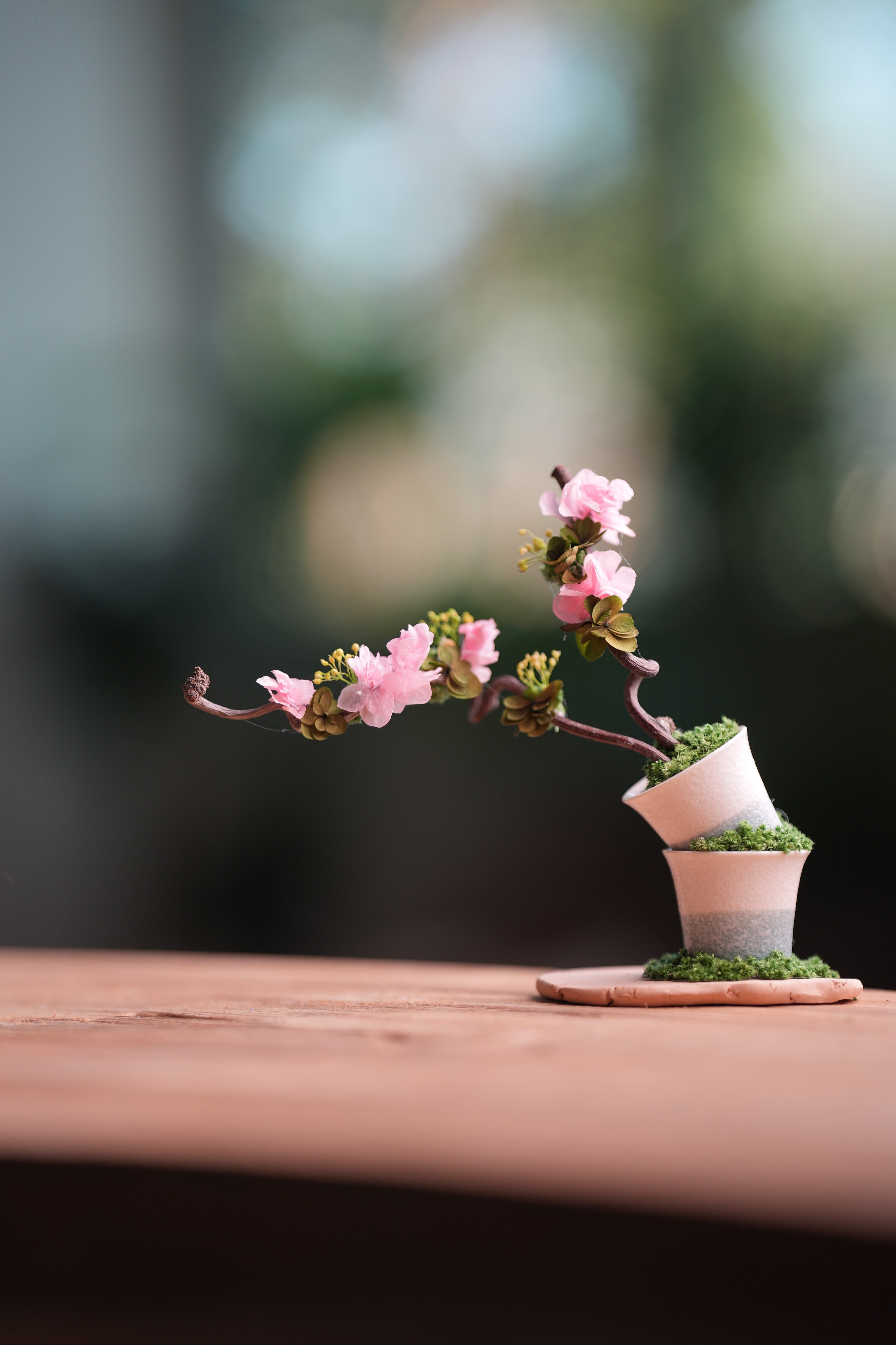 Children of the Forest - The Journey edition (Preserved Plants)