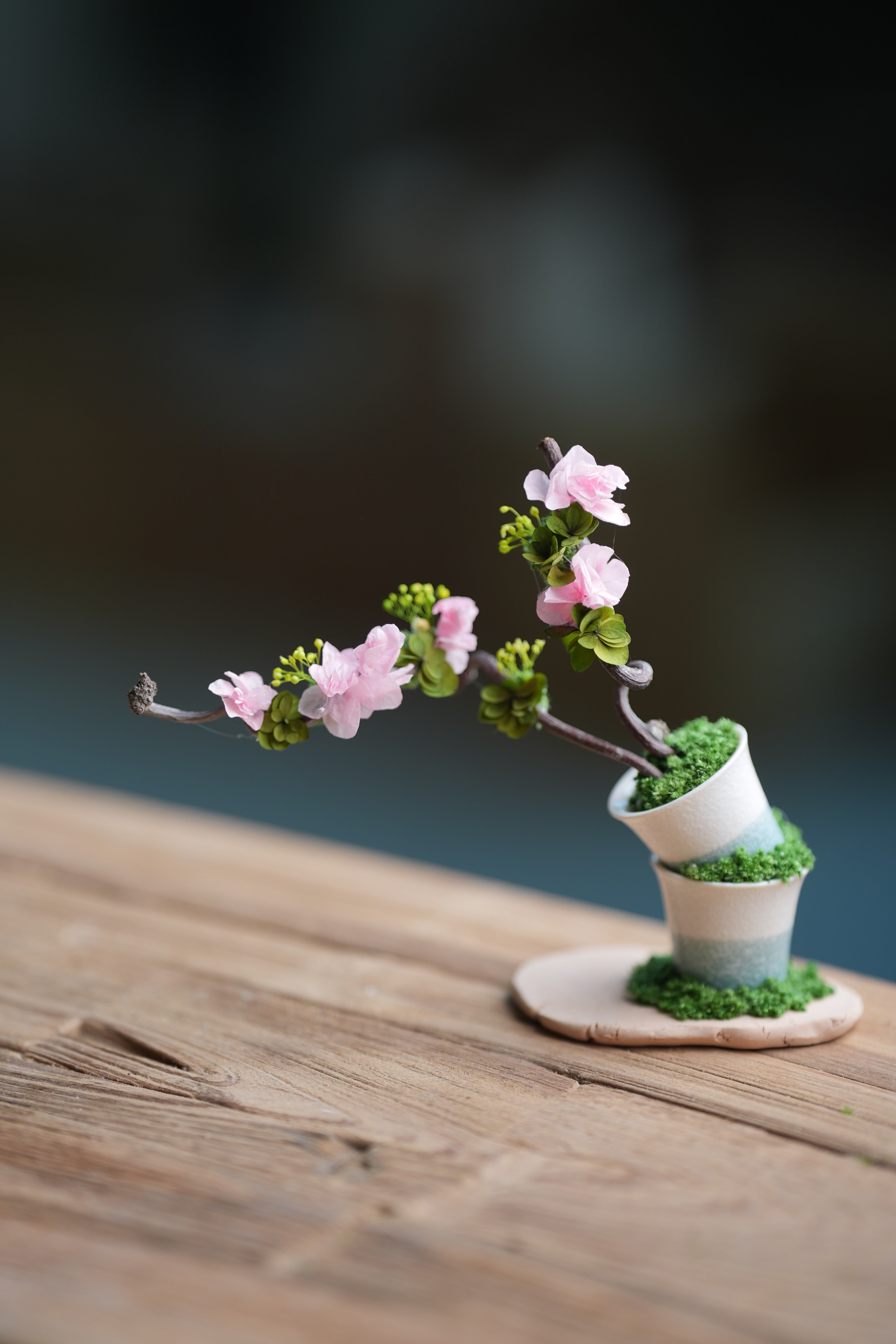 Children of the Forest - The Journey edition (Preserved Plants)