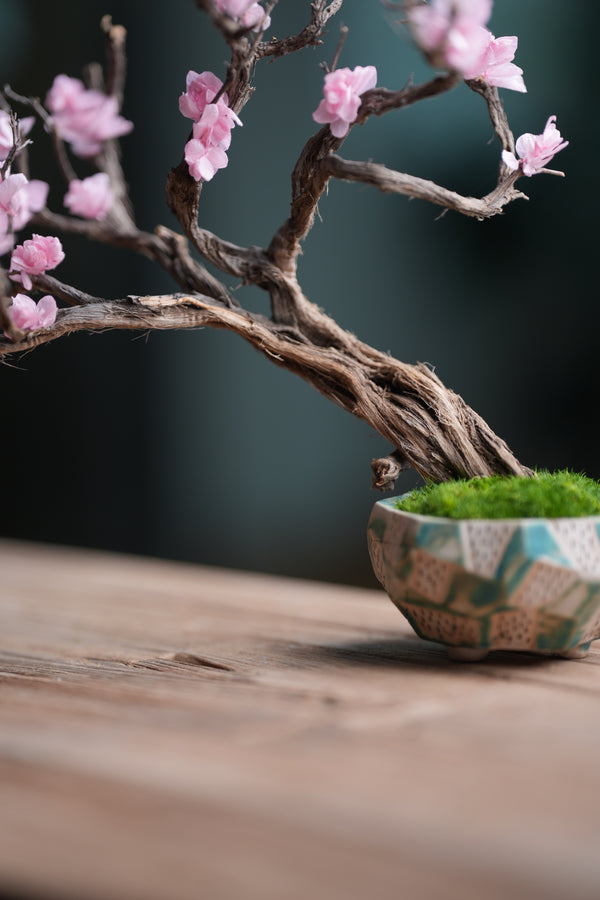 Slow Wood - The Journey (Preserved Plants)