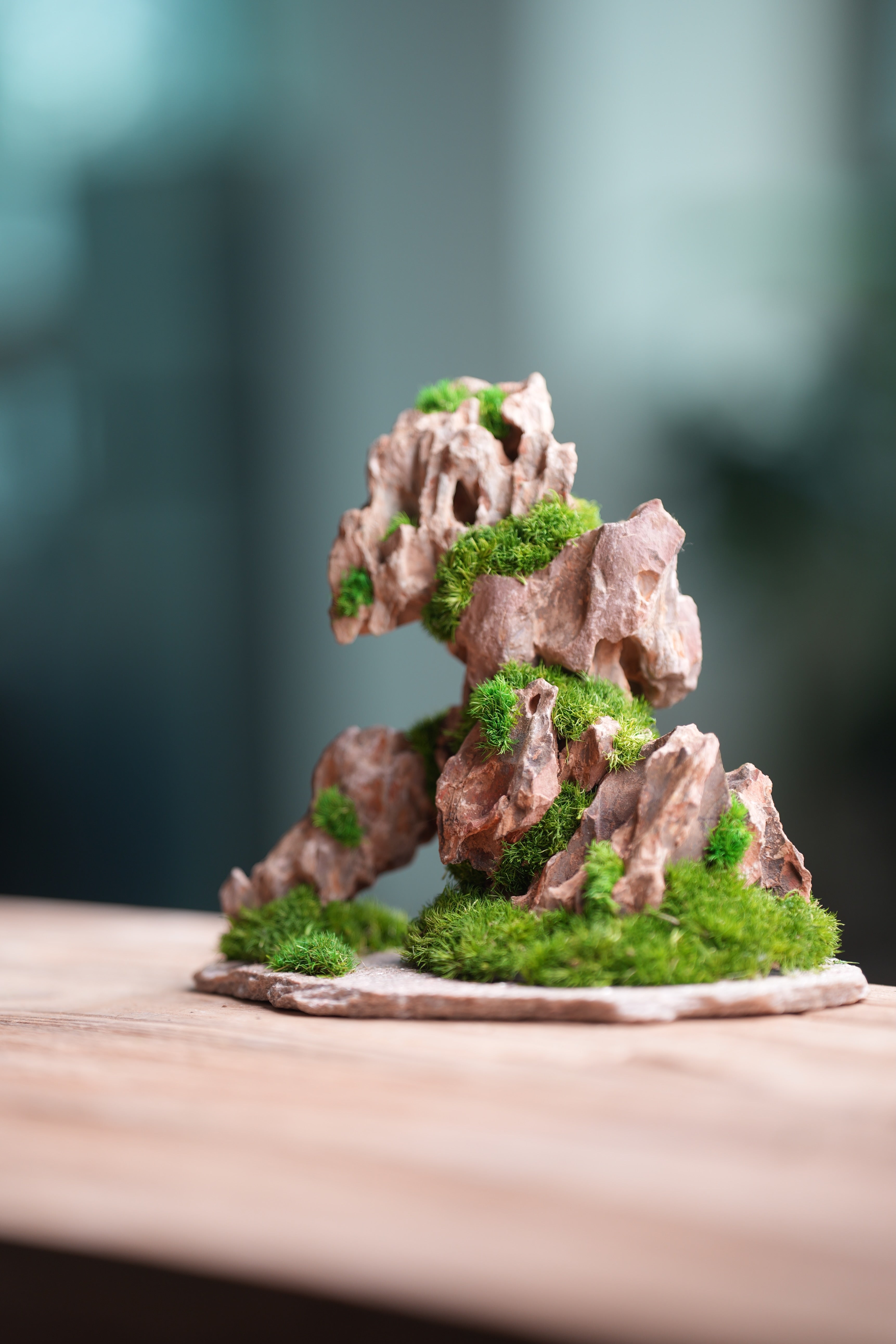 Angel's Landing (Preserved Plants)