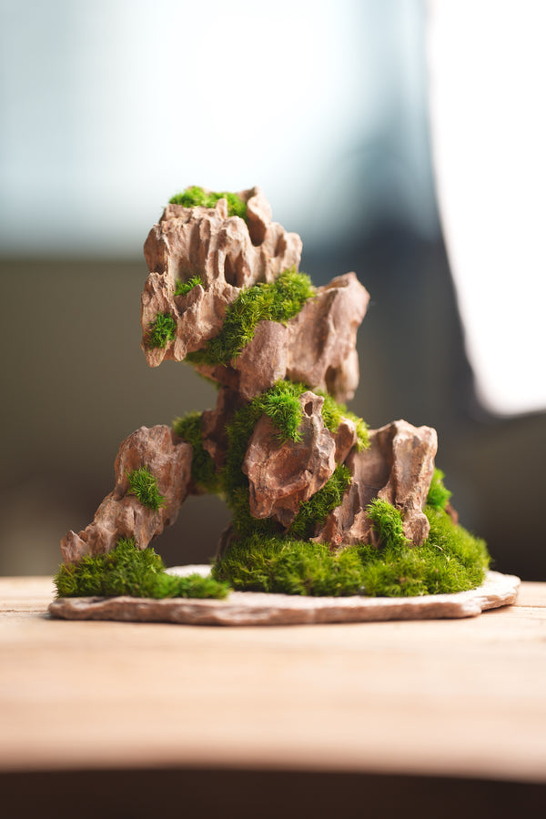 Angel's Landing (Preserved Plants)