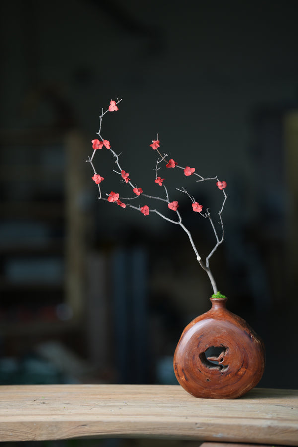 Slow Wood - The Journey (Preserved Plants)