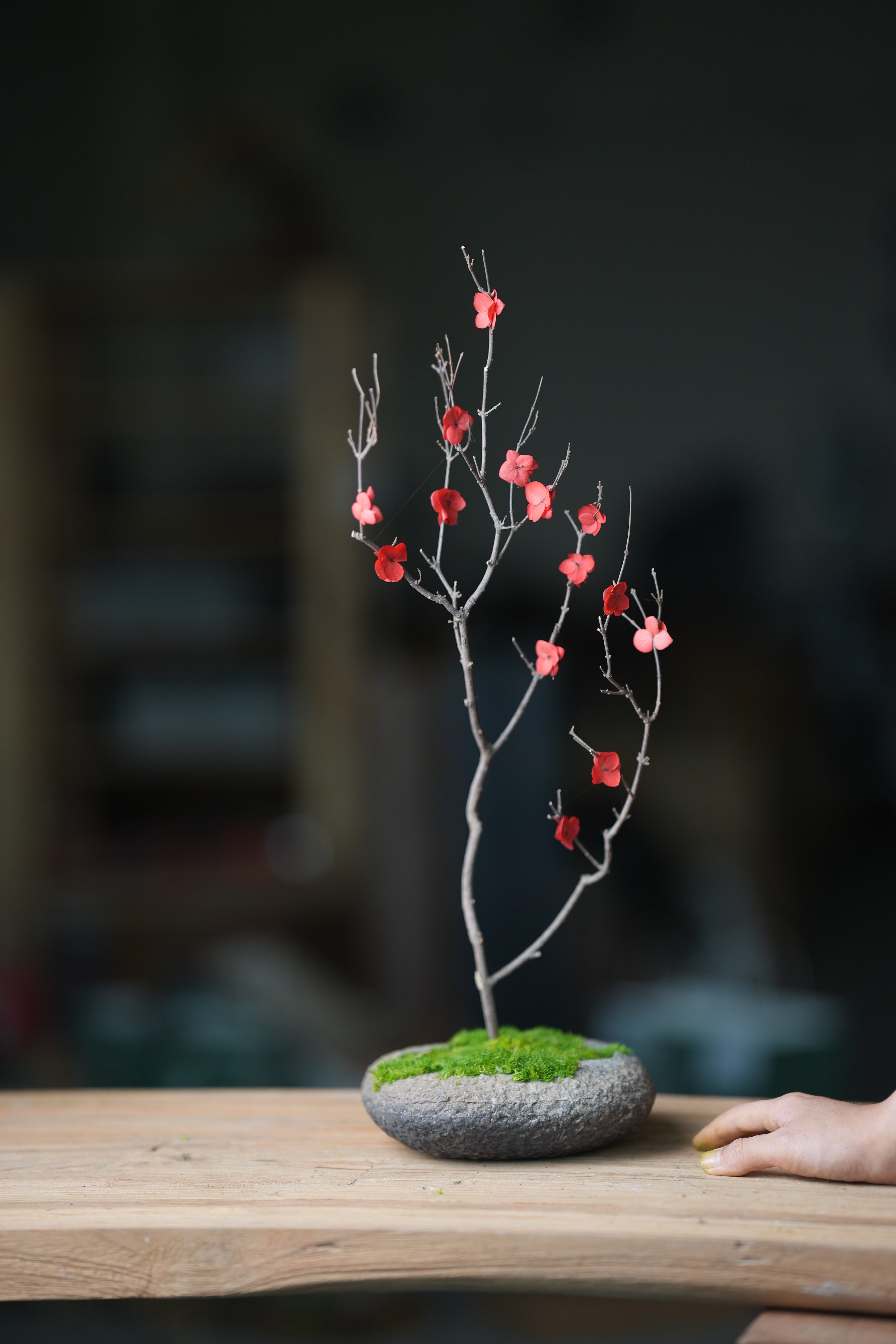 Slow Wood - The Journey (Preserved Plants)