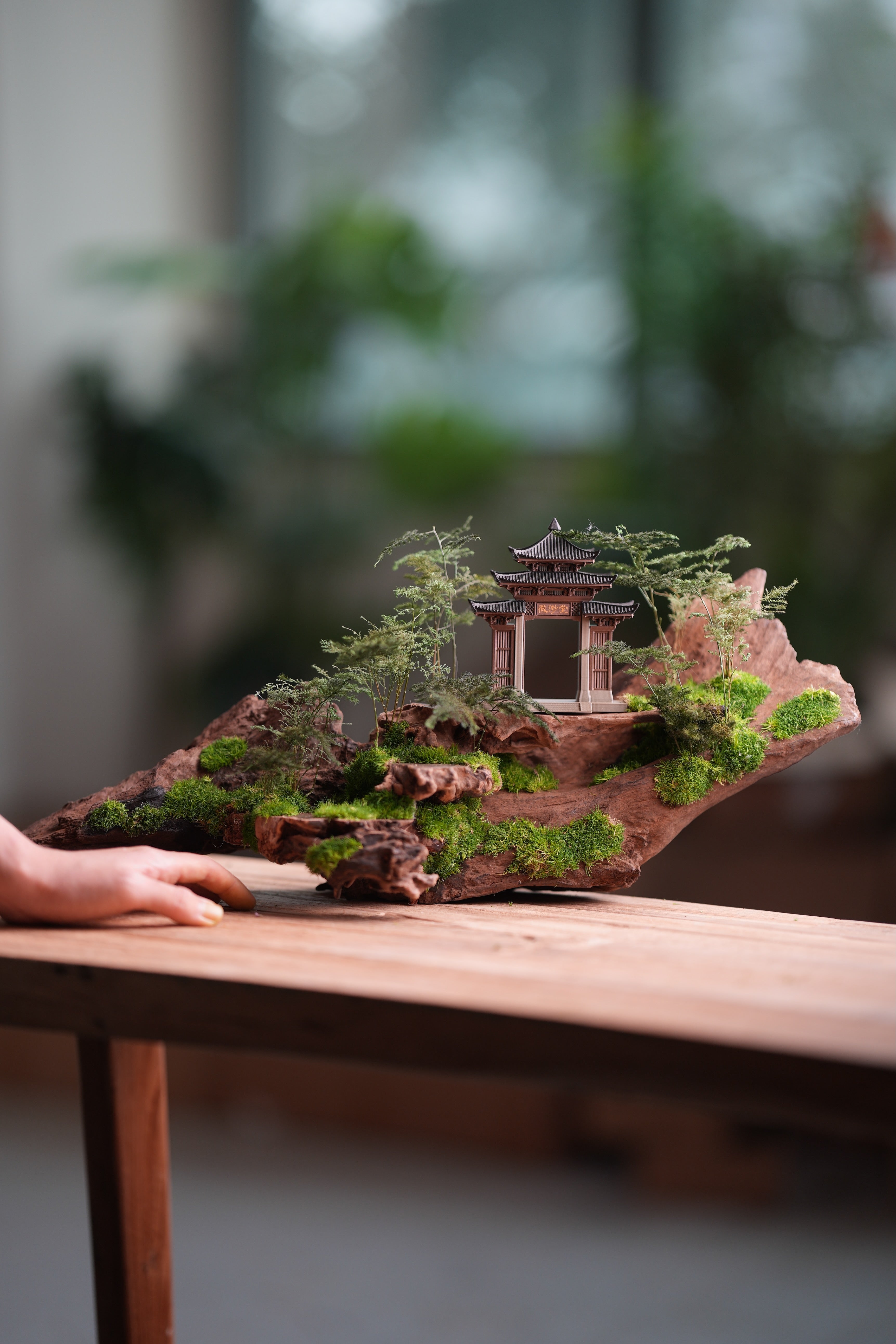 Blackwood Cliff - Ark (Preserved Plants)