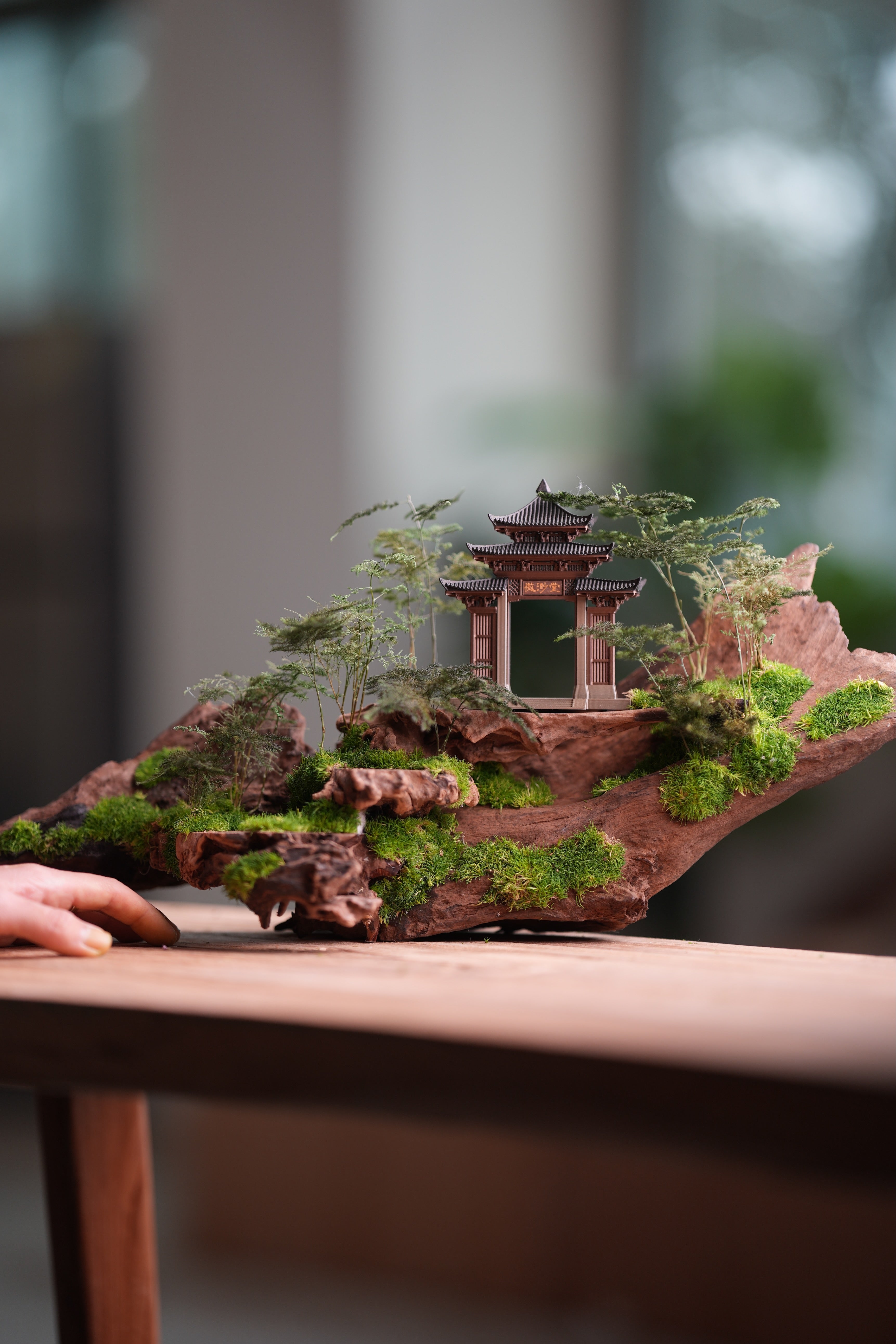 Blackwood Cliff - Ark (Preserved Plants)