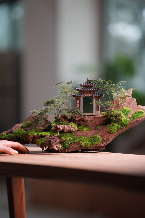 Blackwood Cliff - Ark (Preserved Plants)