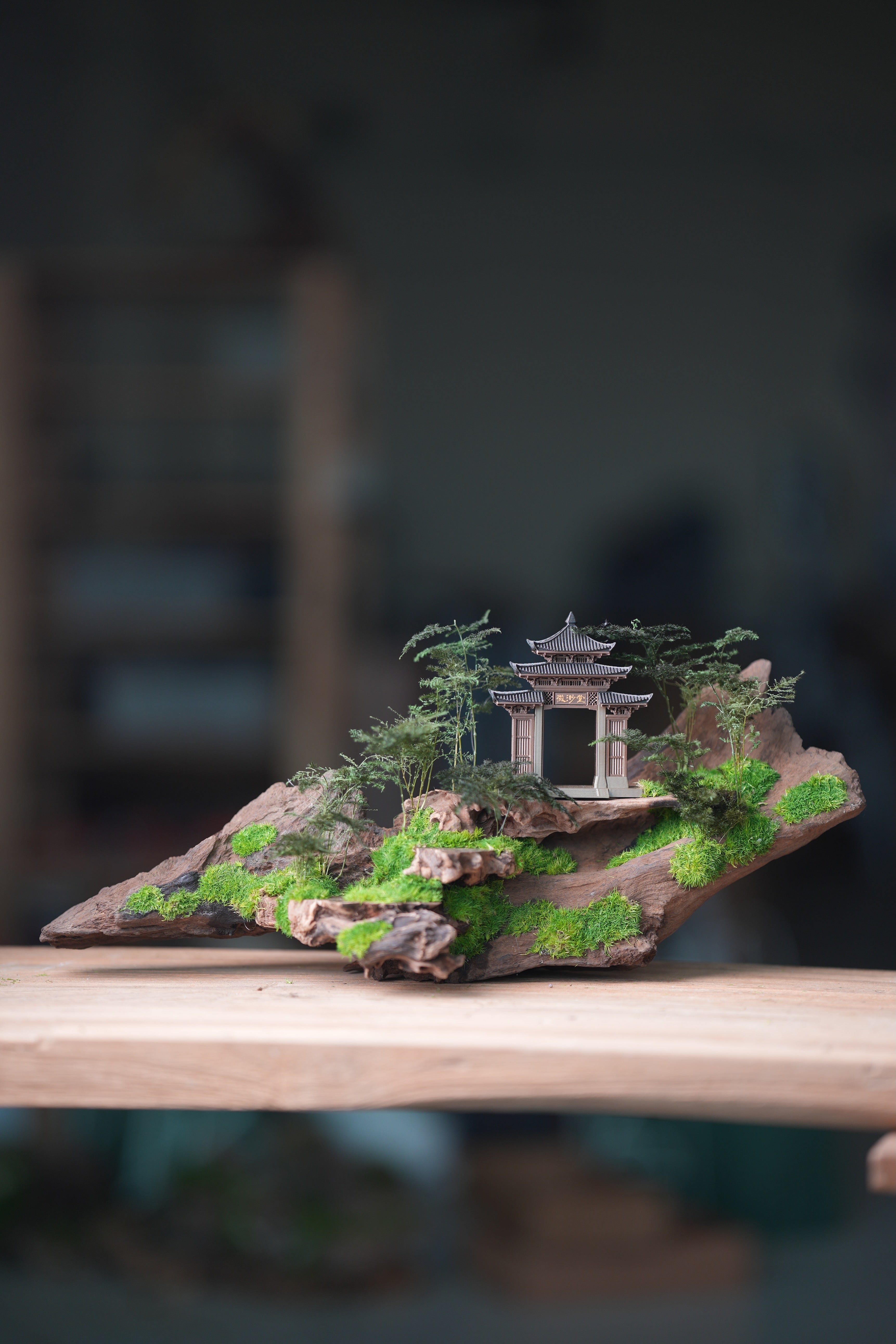 Blackwood Cliff - Ark (Preserved Plants)