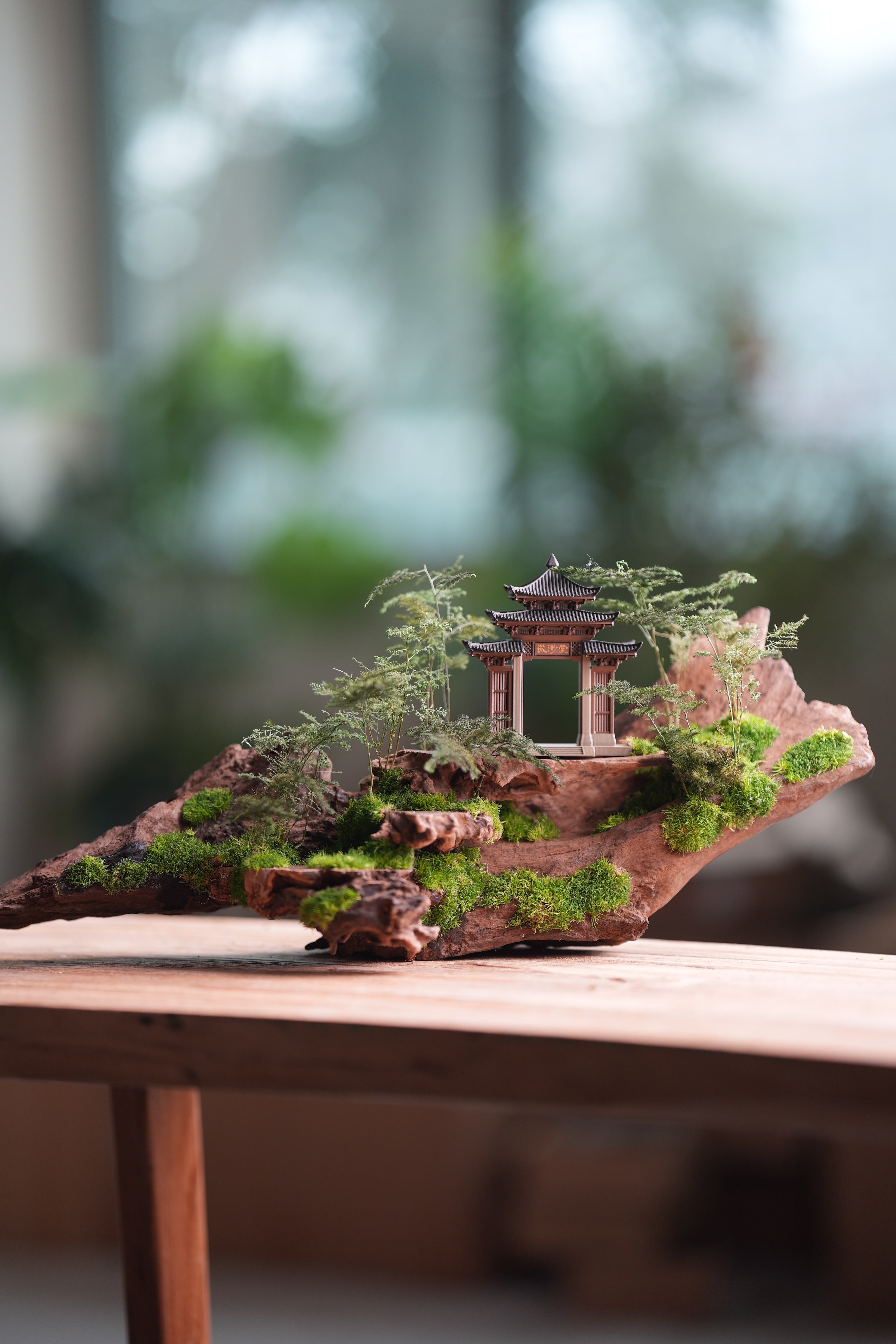 Blackwood Cliff - Ark (Preserved Plants)