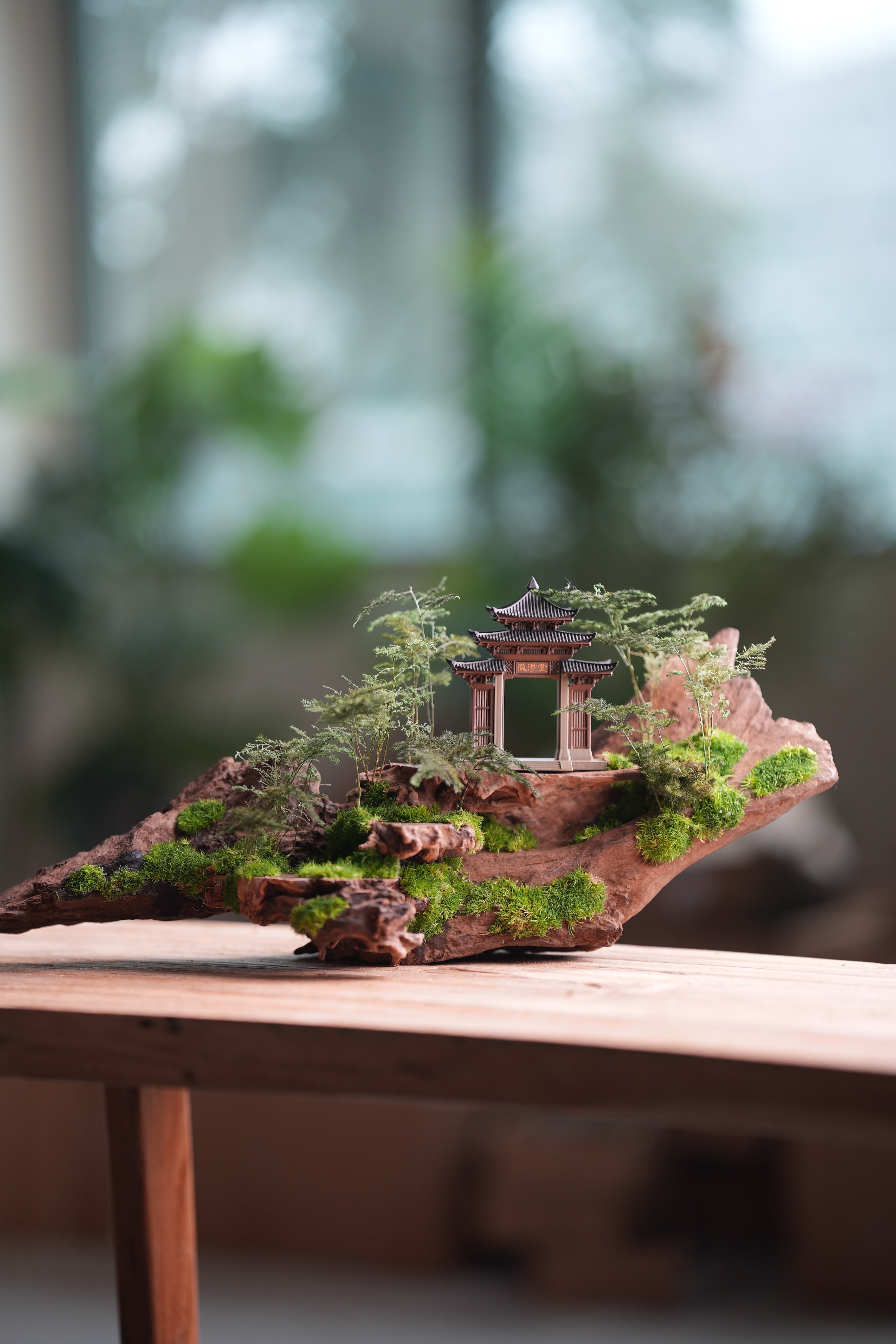 Blackwood Cliff - Ark (Preserved Plants)