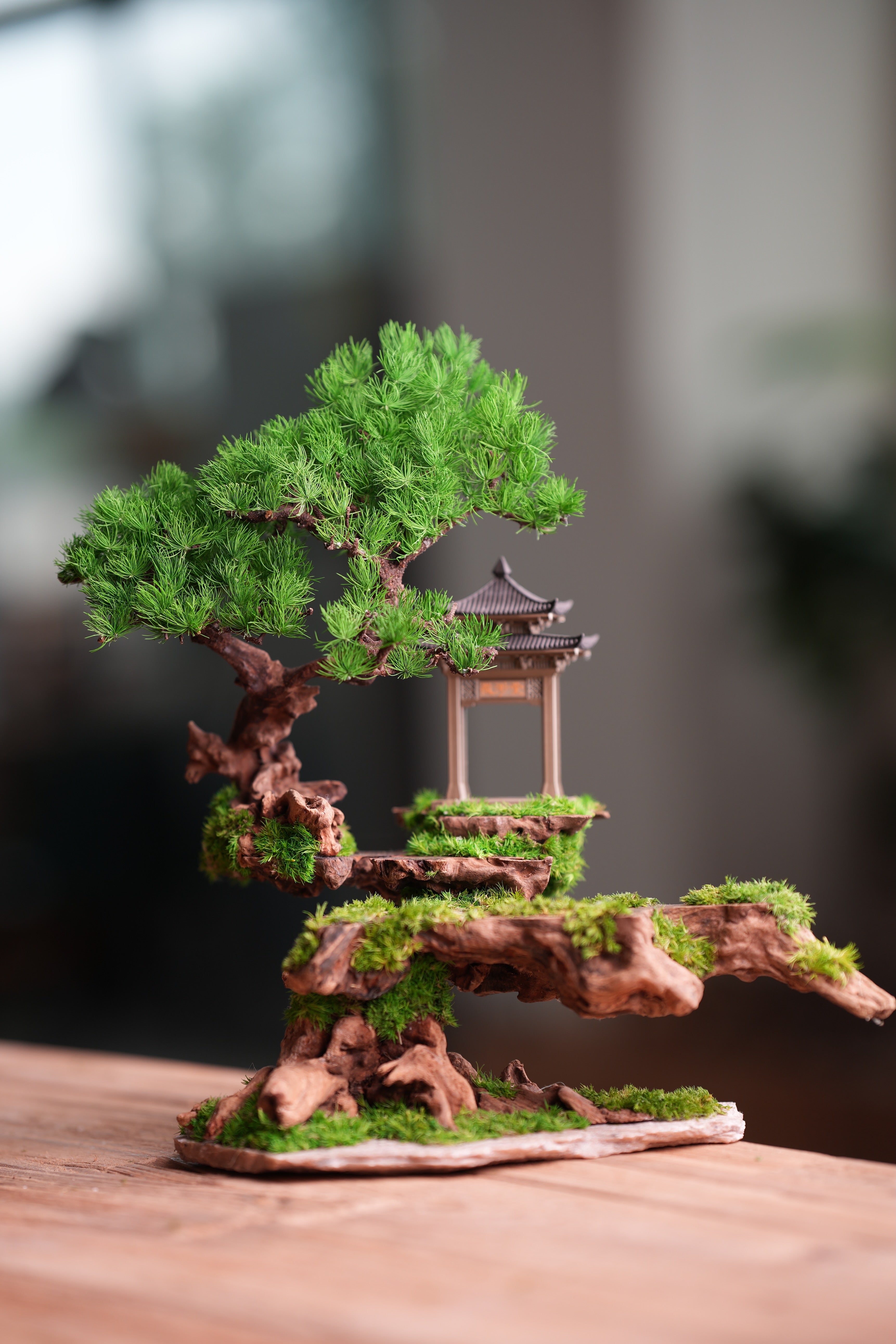 Blackwood Cliff (Preserved Plants)