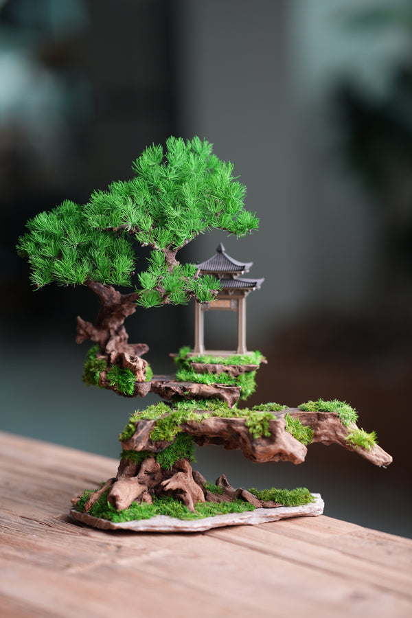 Blackwood Cliff (Preserved Plants)