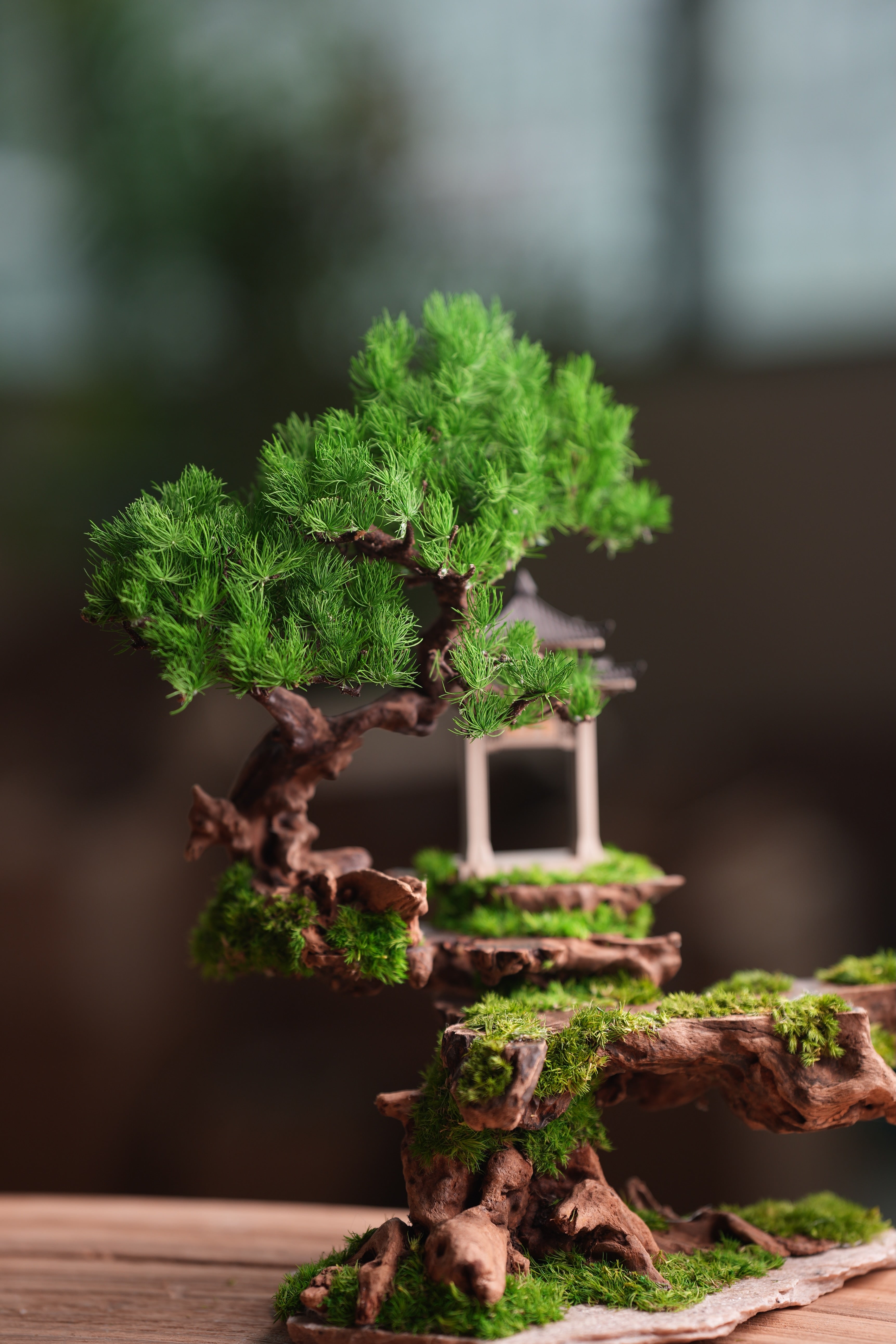 Blackwood Cliff (Preserved Plants)