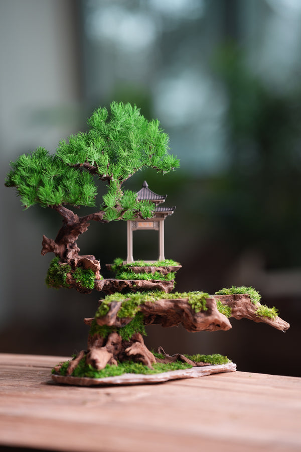 Blackwood Cliff (Preserved Plants)