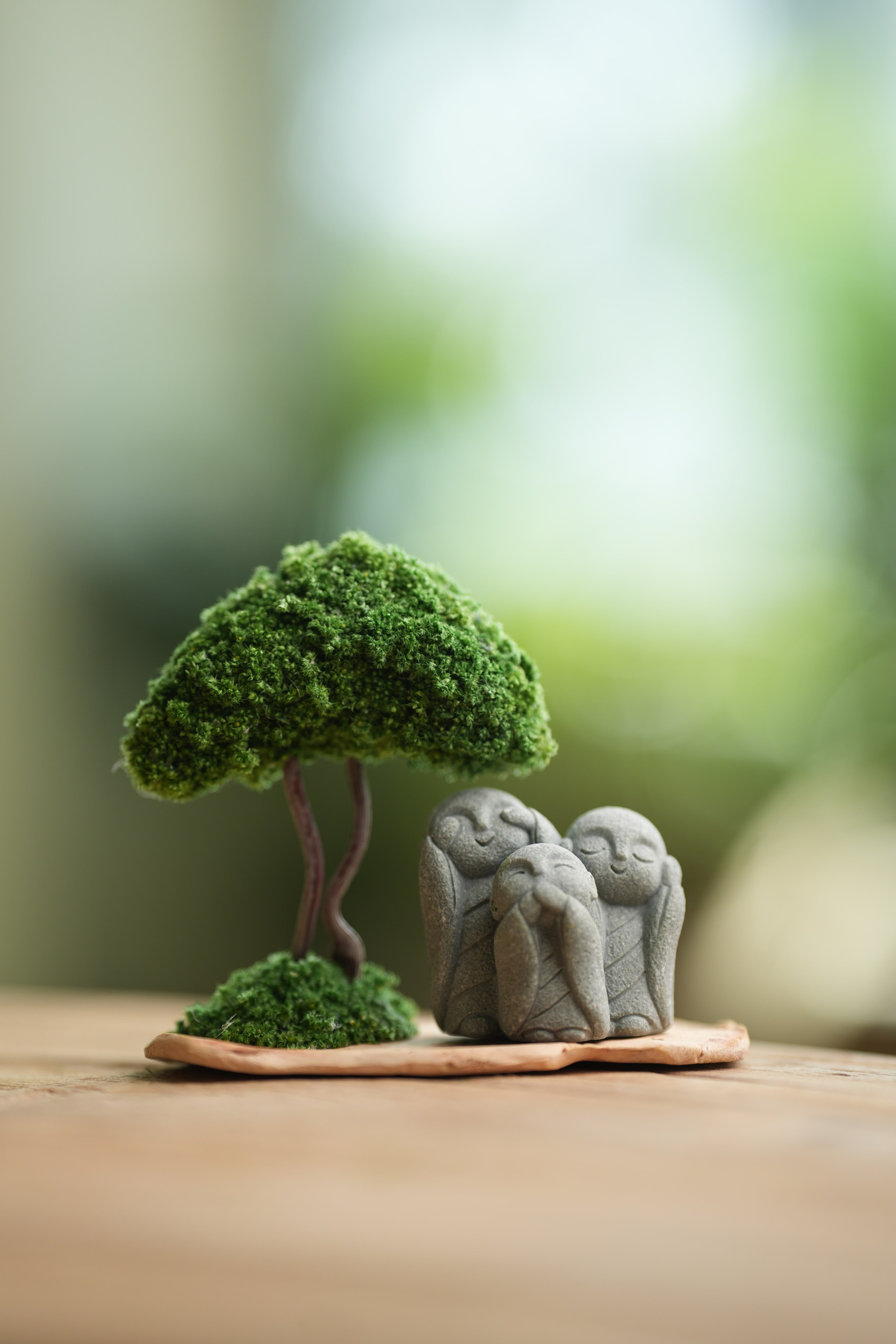 A Small Tree in the East - Classic - Trio of No Evil (Preserved Plants)