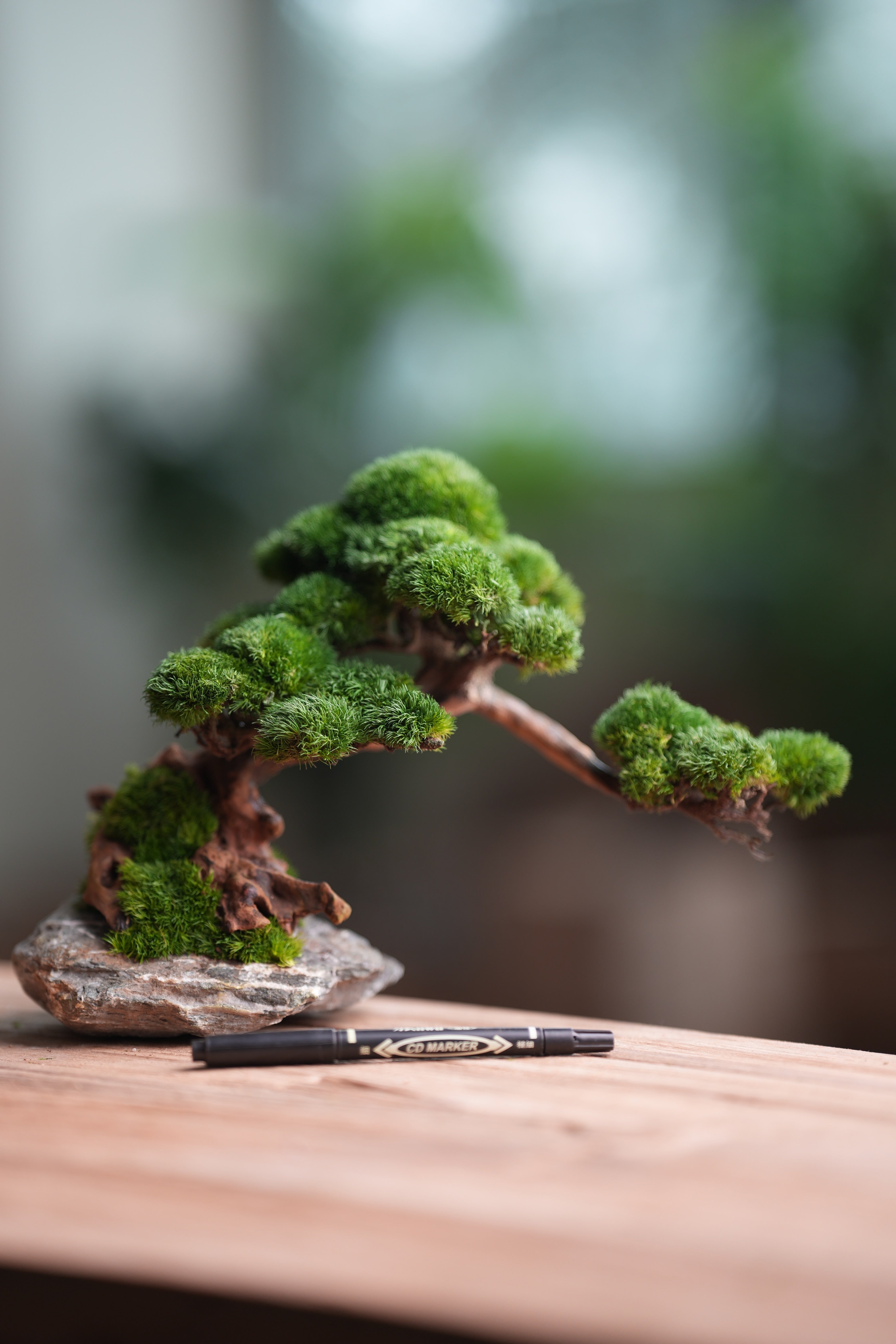 Greenwood - Stone Rest (Preserved Plants)