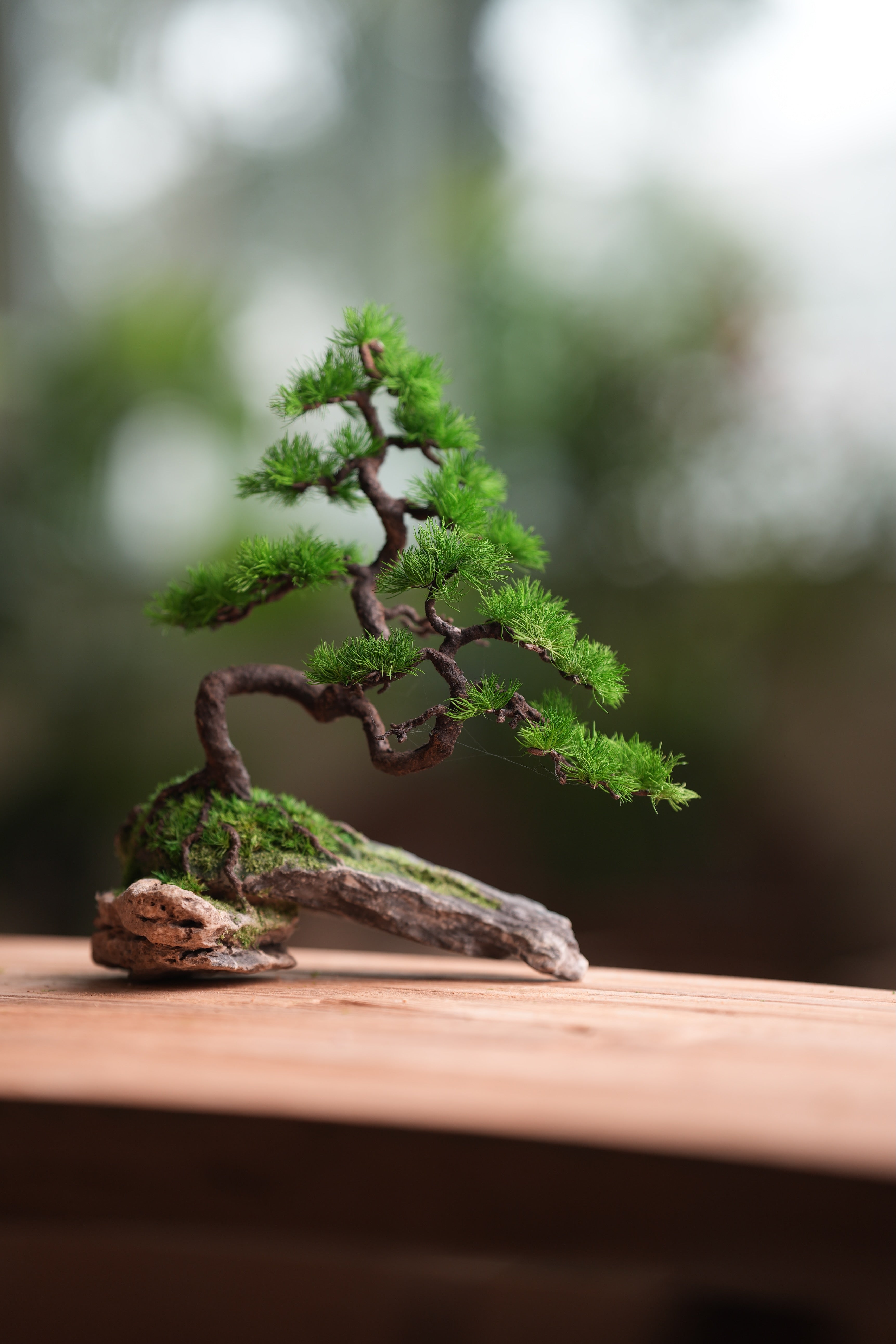 Iron Song of the Earth - White Pine (Preserved Plant + Metal Craft)