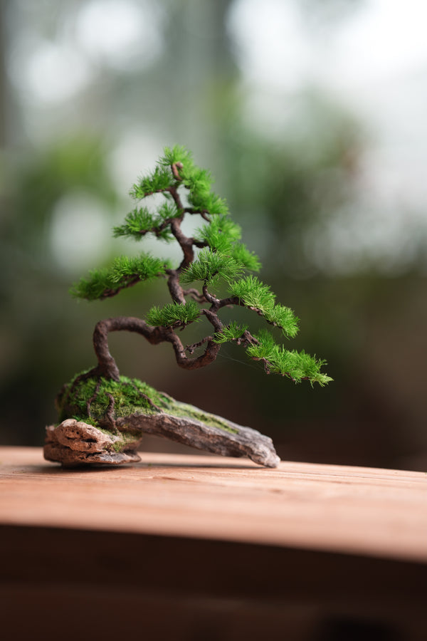 Iron Song of the Earth - White Pine (Preserved Plant + Metal Craft)