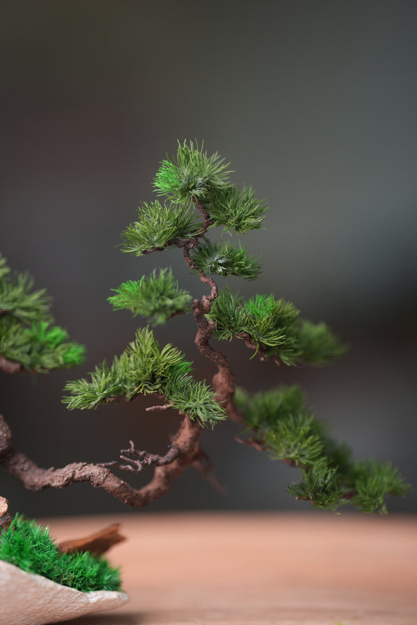 Iron Song of the Earth - Cultured Garden (Preserved Plant + Metal Craft)