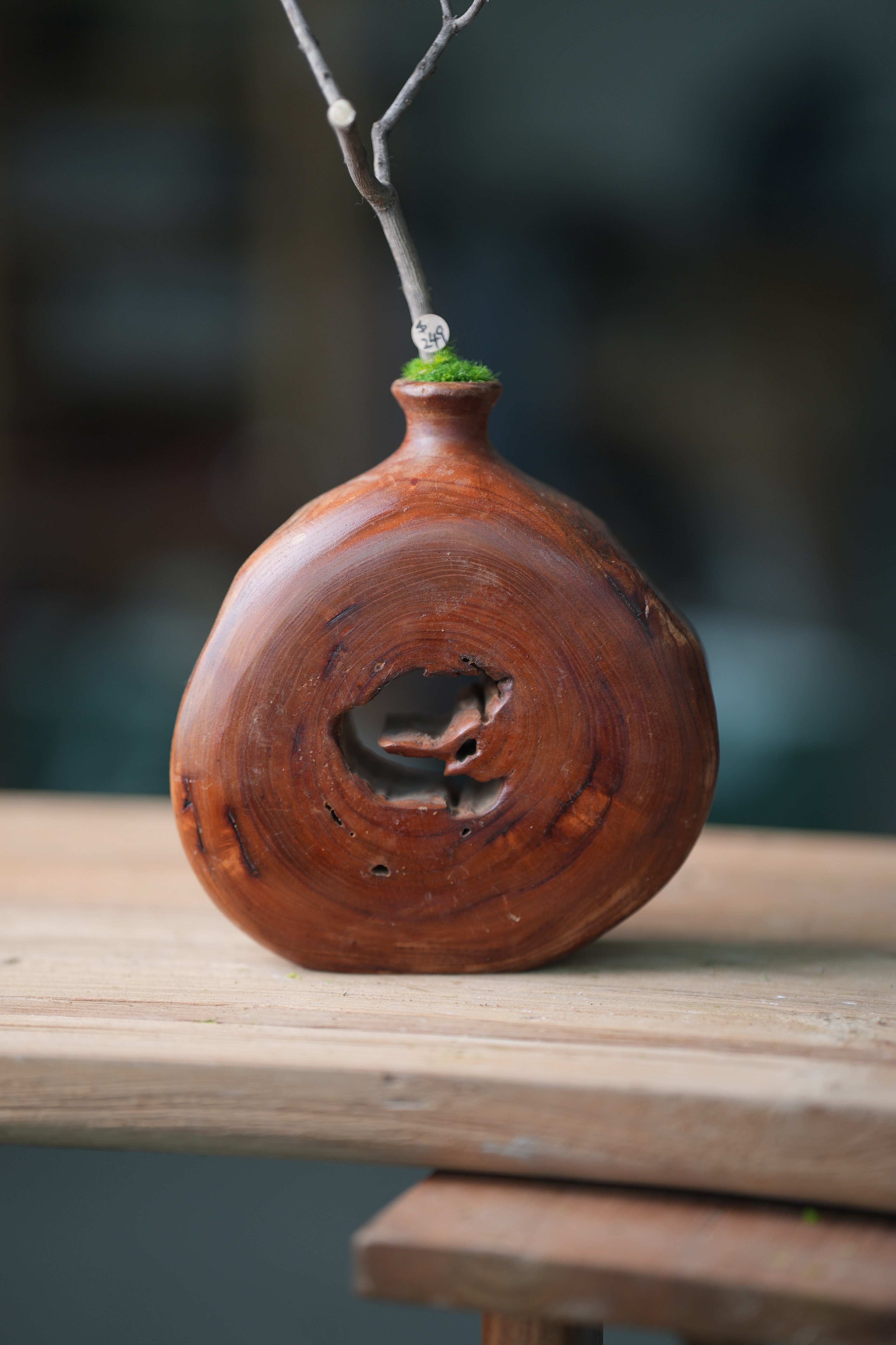 Slow Wood - The Journey (Preserved Plants)