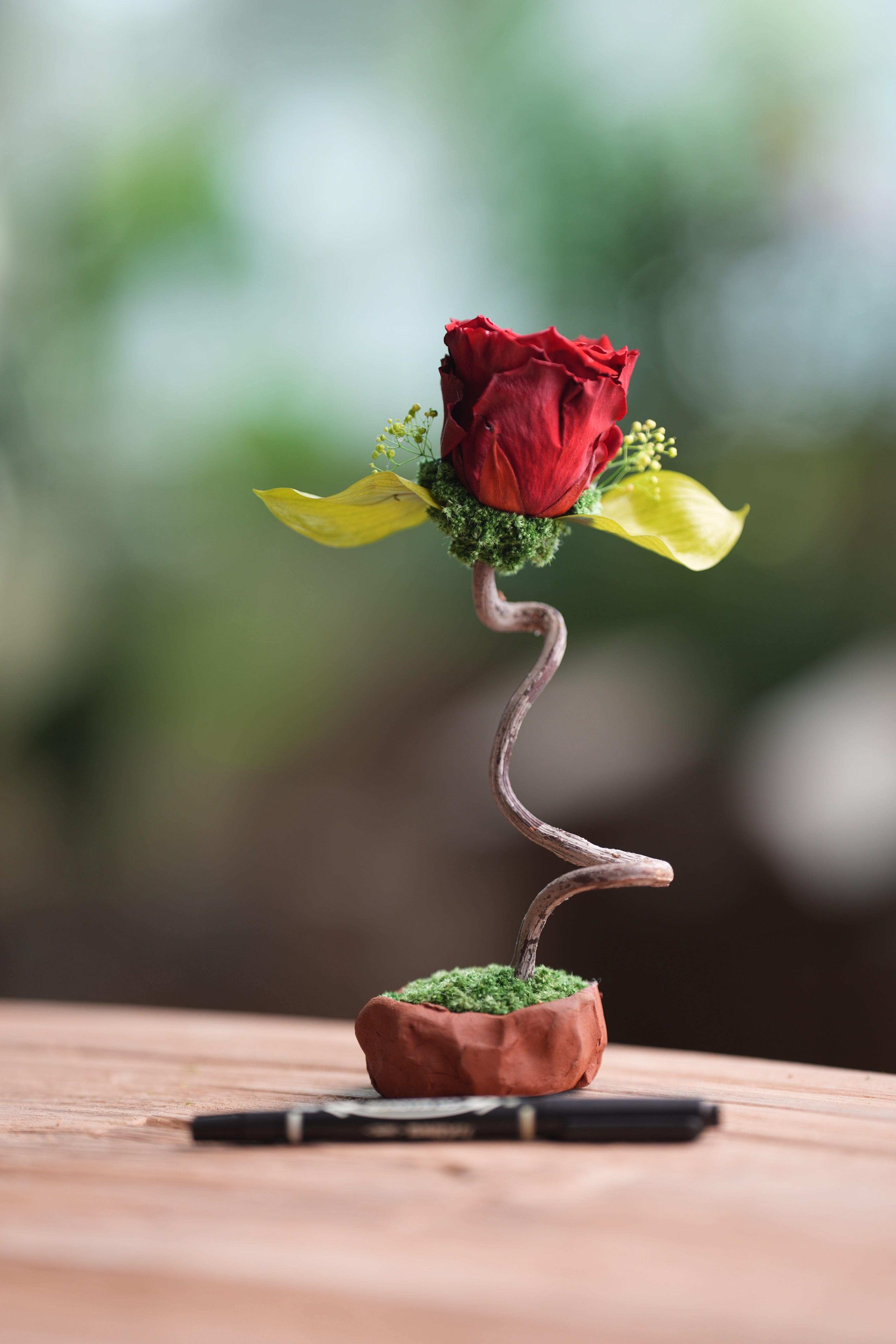 Children of the Forest - Jupiter  (Preserved Plants)