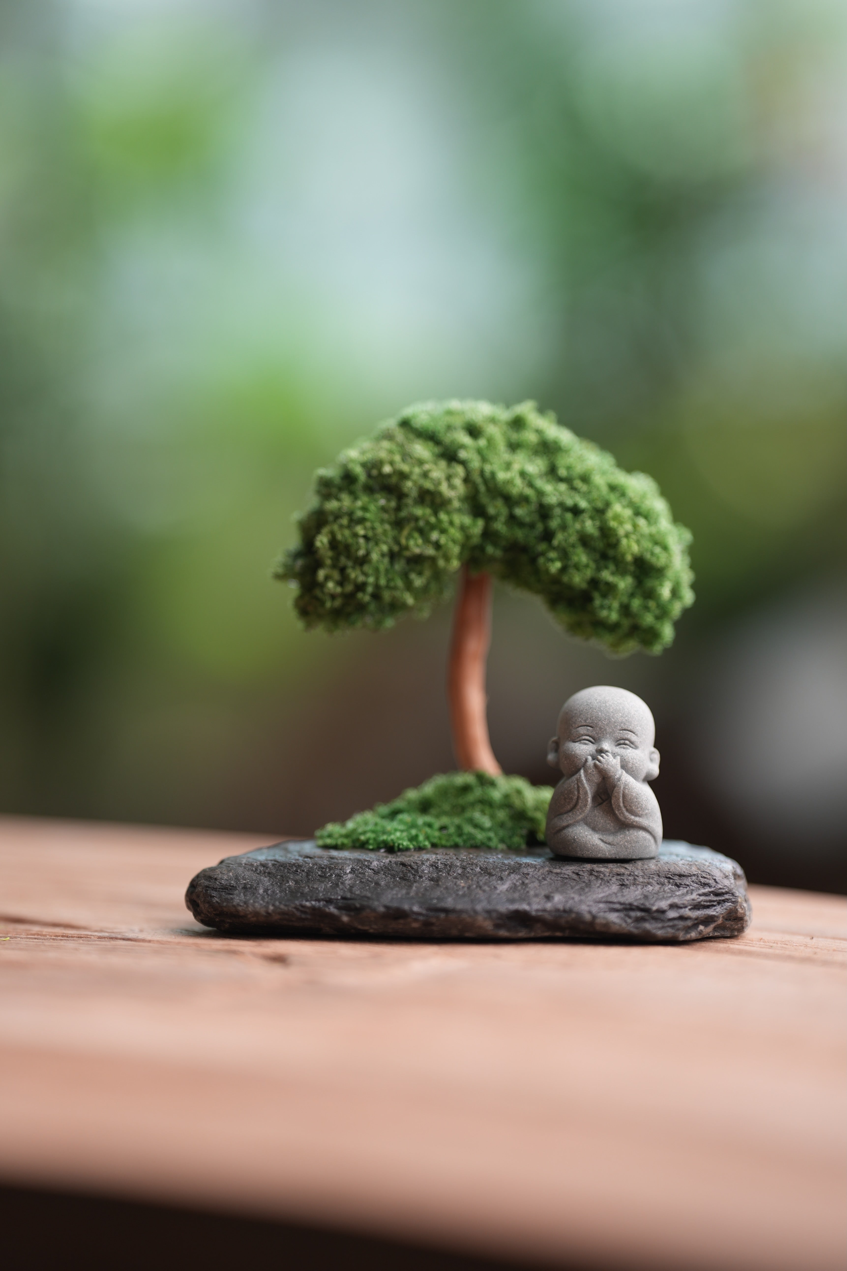 A Small Tree in the East - Classic (Preserved Plants)