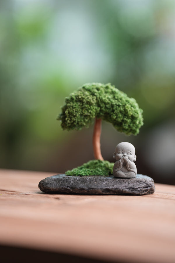 A Small Tree in the East - Classic (Preserved Plants)