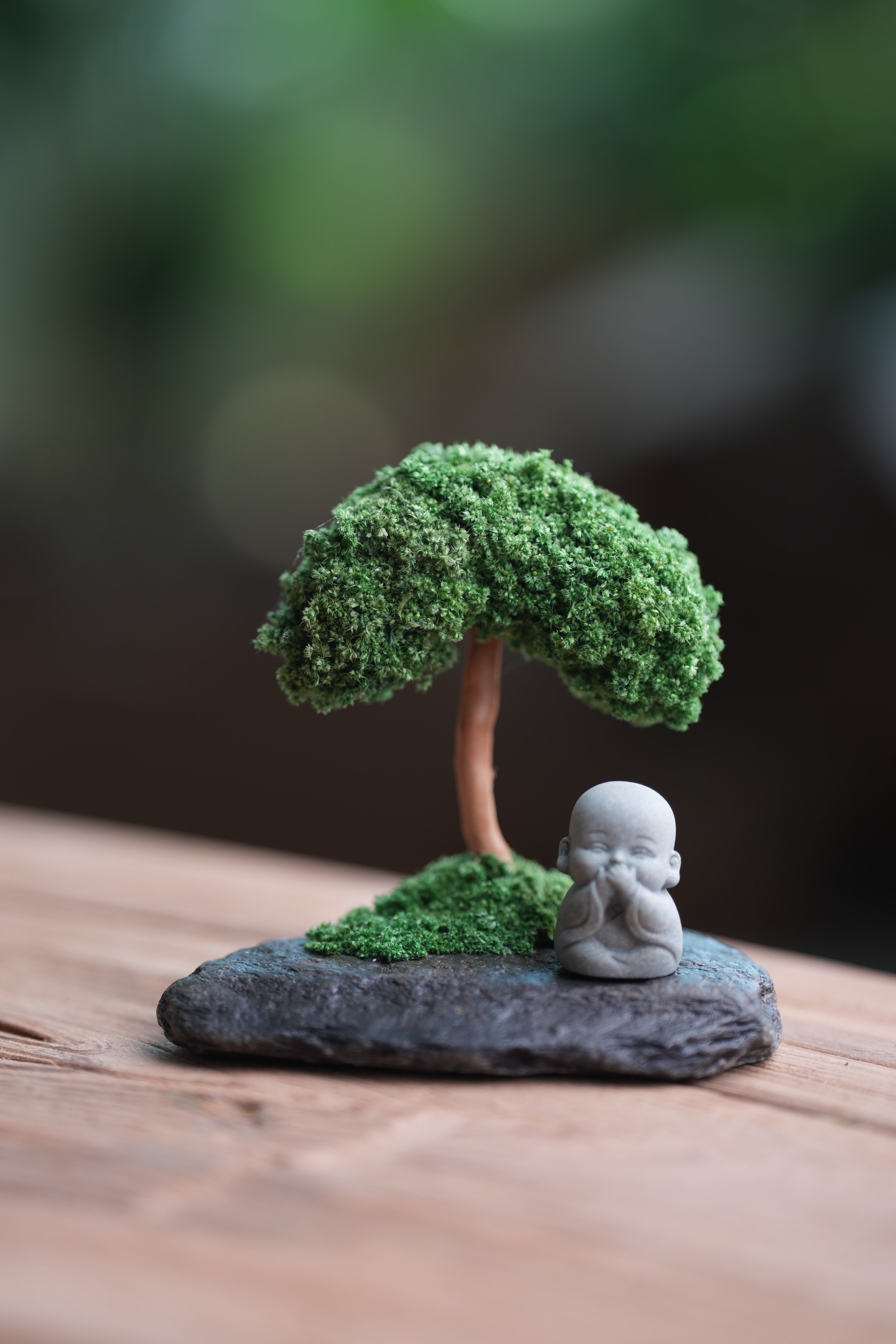 A Small Tree in the East - Classic (Preserved Plants)